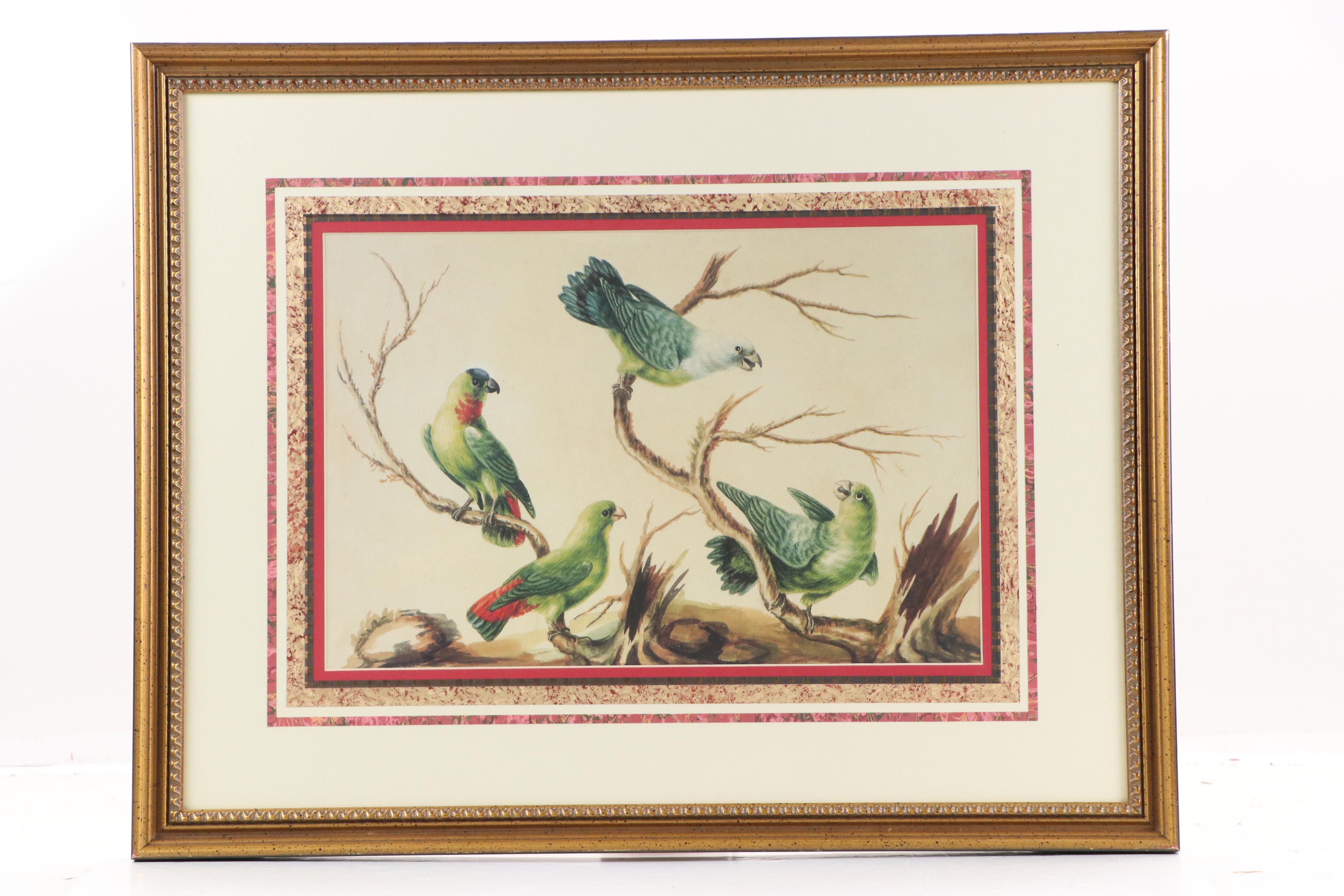 After Sarah Stone Ornithological Offset Lithographs, Circa 2010