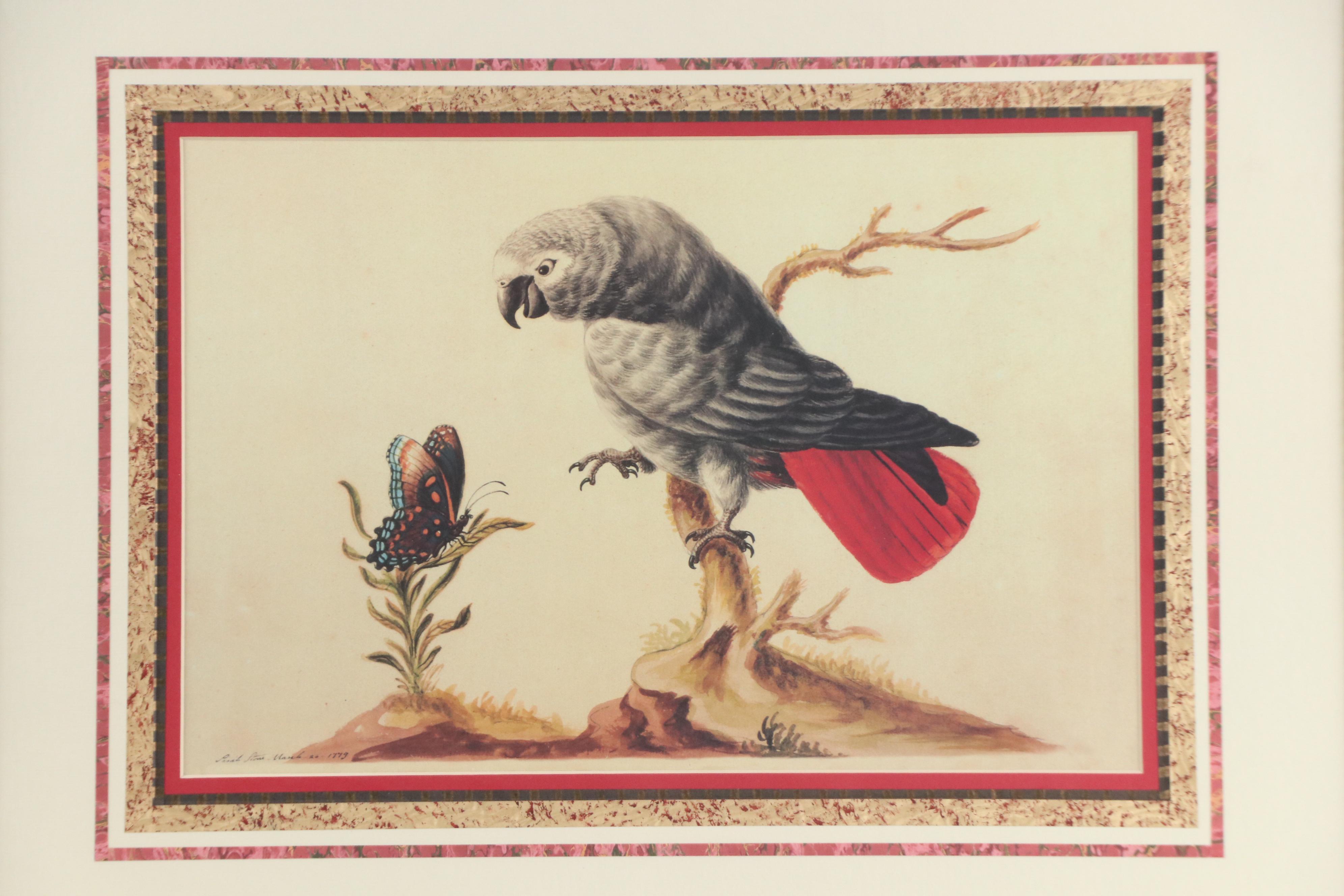 After Sarah Stone Ornithological Offset Lithographs, Circa 2010
