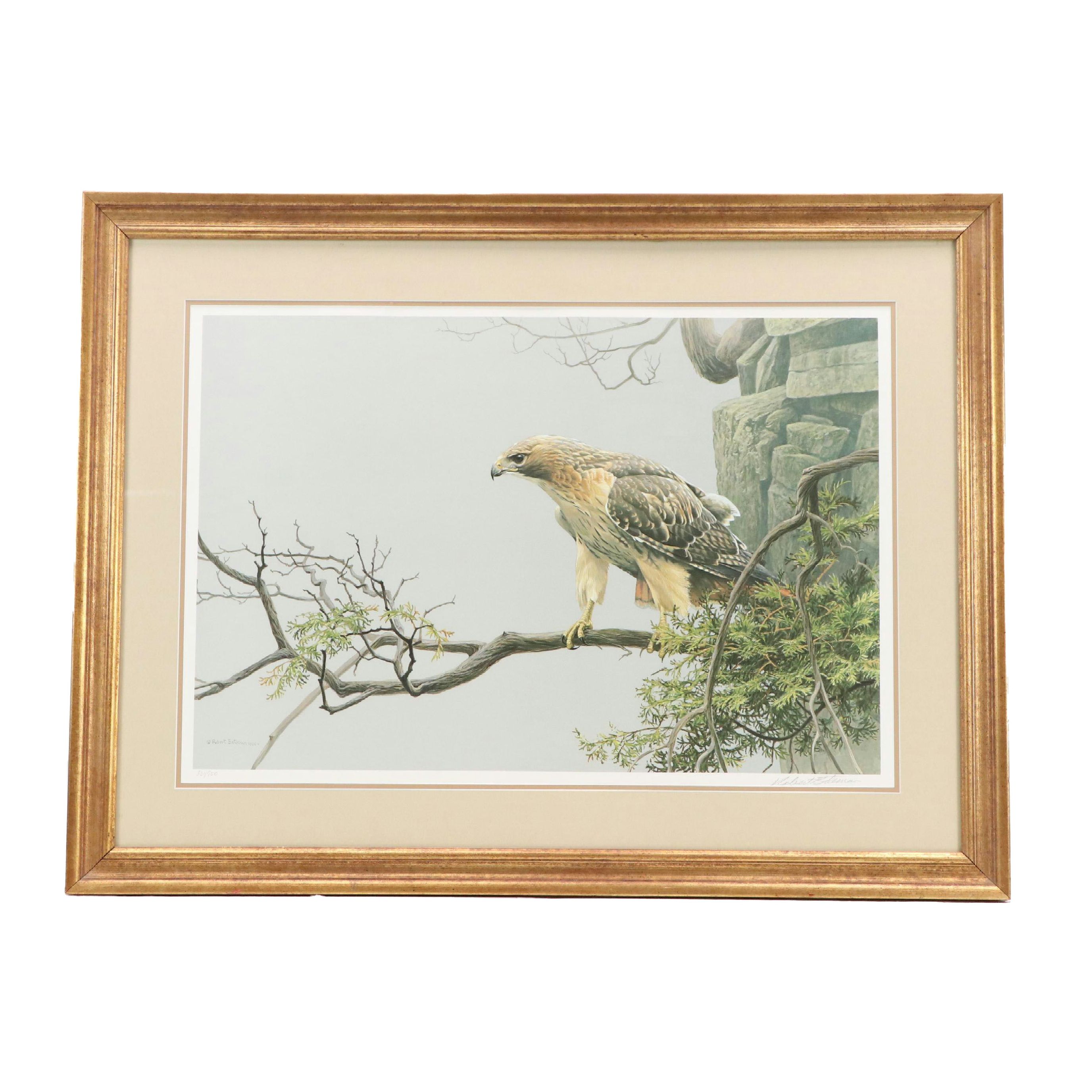 Robert Bateman Offset Lithograph "Red-Tailed Hawk by the Cliff," Late 20th C.