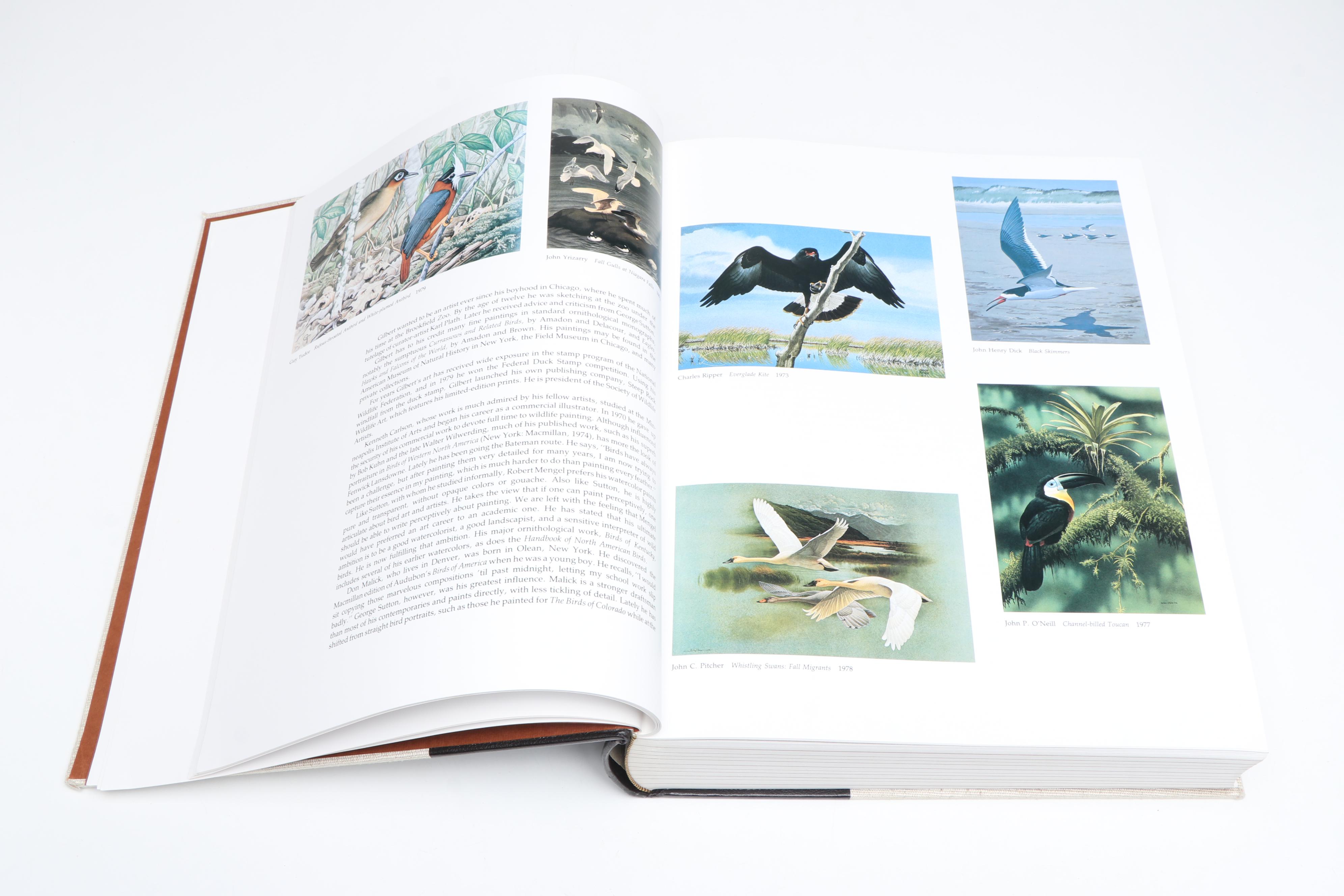 Baby Elephant Folio "Audubon's Birds of America" by the Petersons, 1981