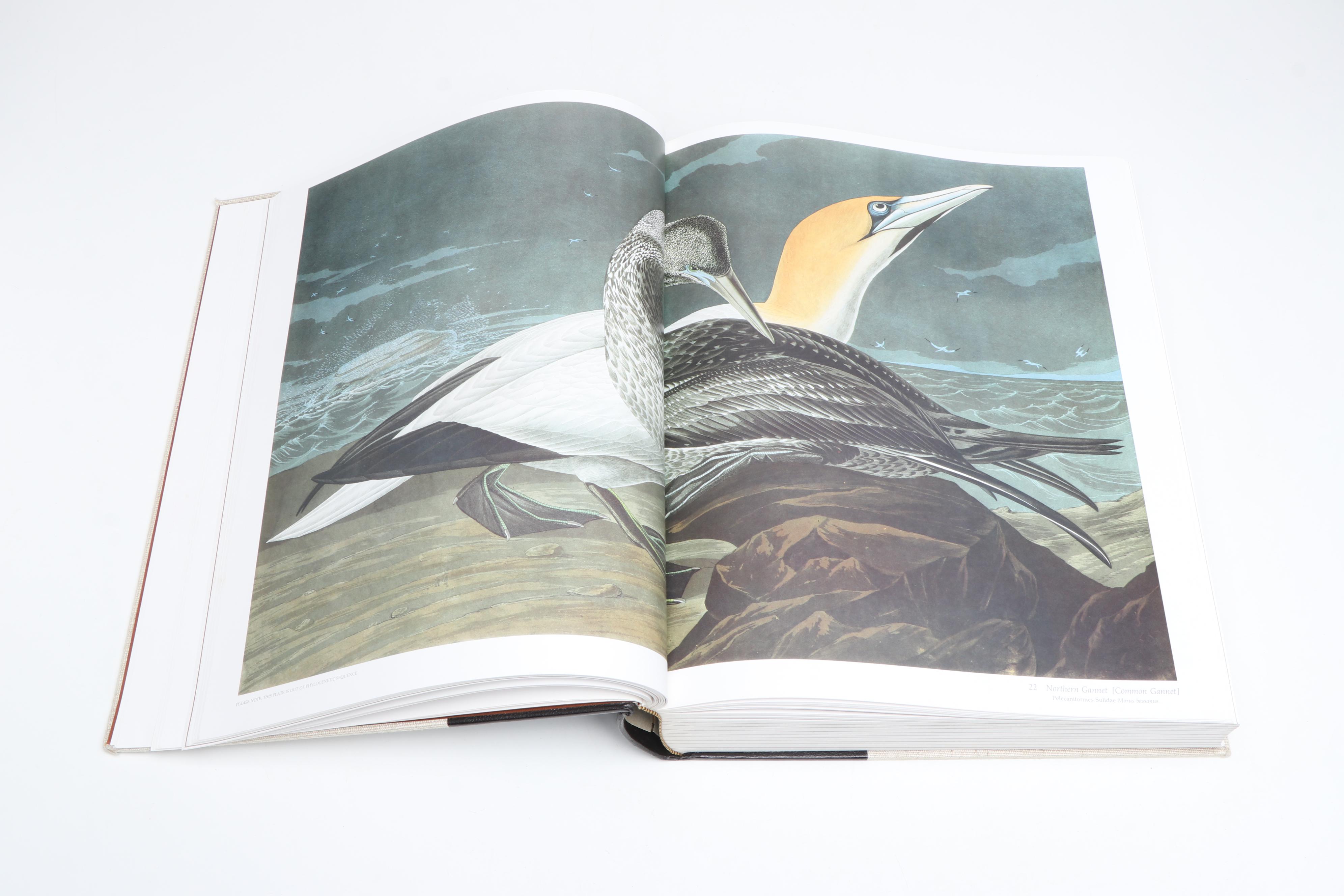 Baby Elephant Folio "Audubon's Birds of America" by the Petersons, 1981