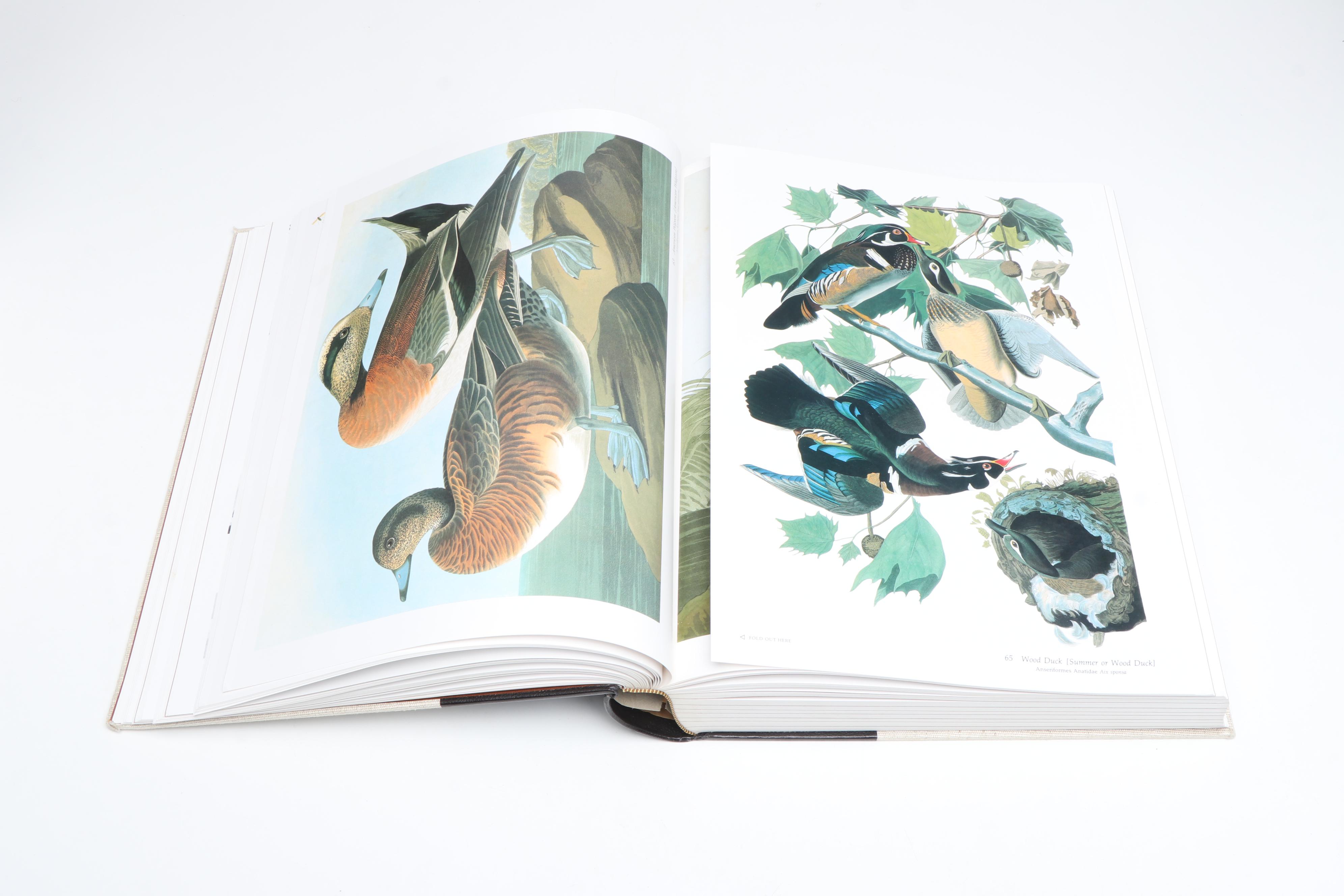 Baby Elephant Folio "Audubon's Birds of America" by the Petersons, 1981