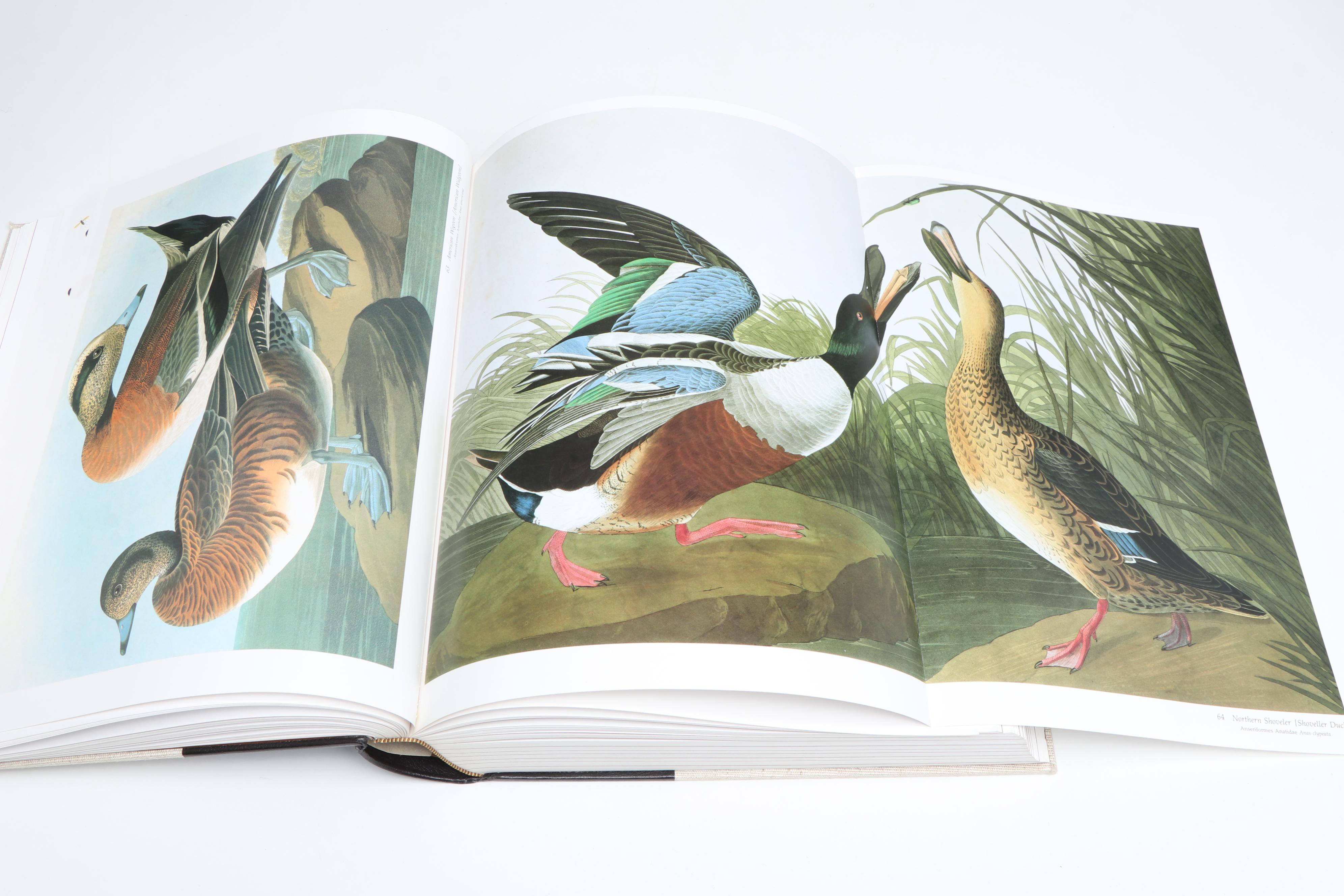 Baby Elephant Folio "Audubon's Birds of America" by the Petersons, 1981