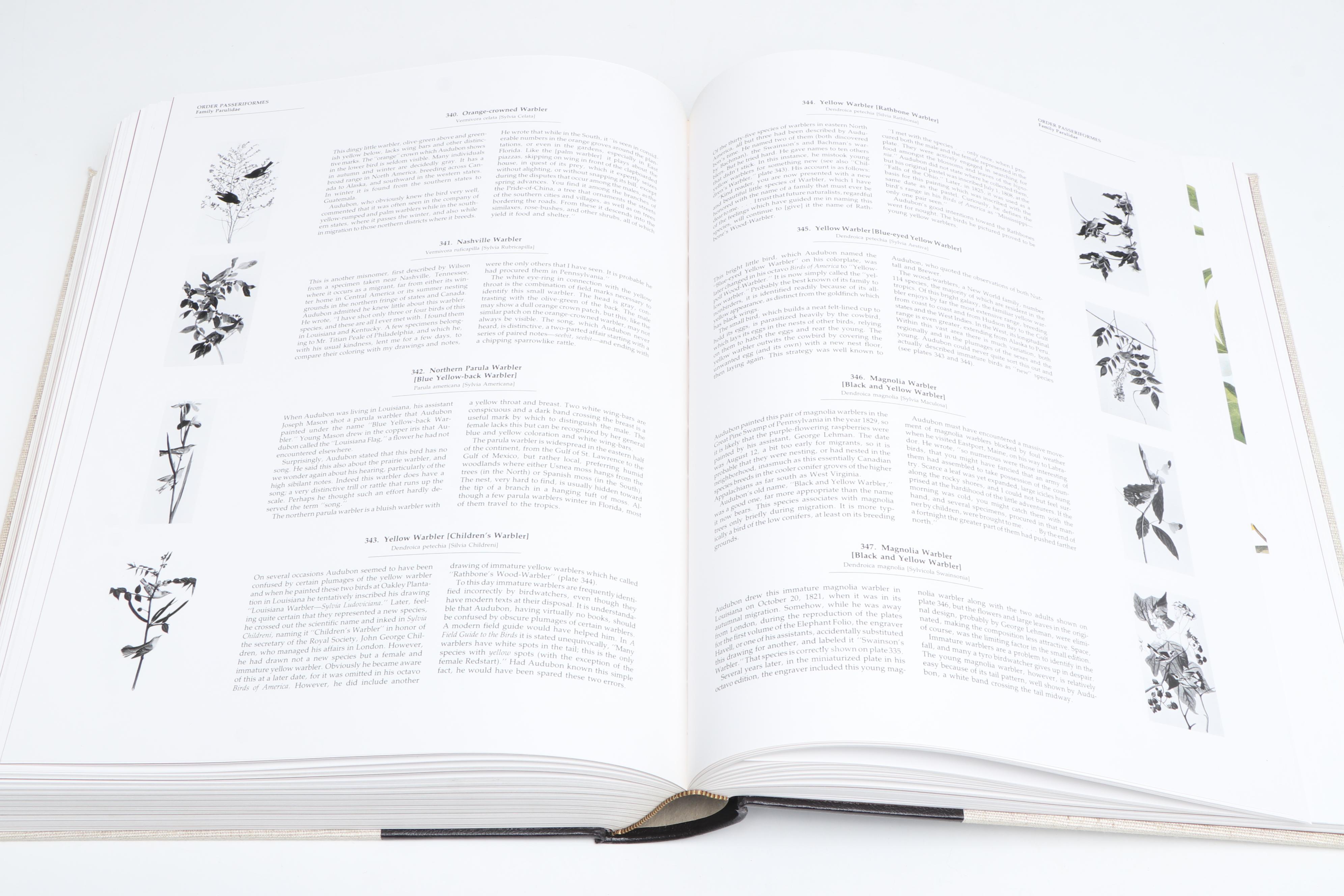 Baby Elephant Folio "Audubon's Birds of America" by the Petersons, 1981