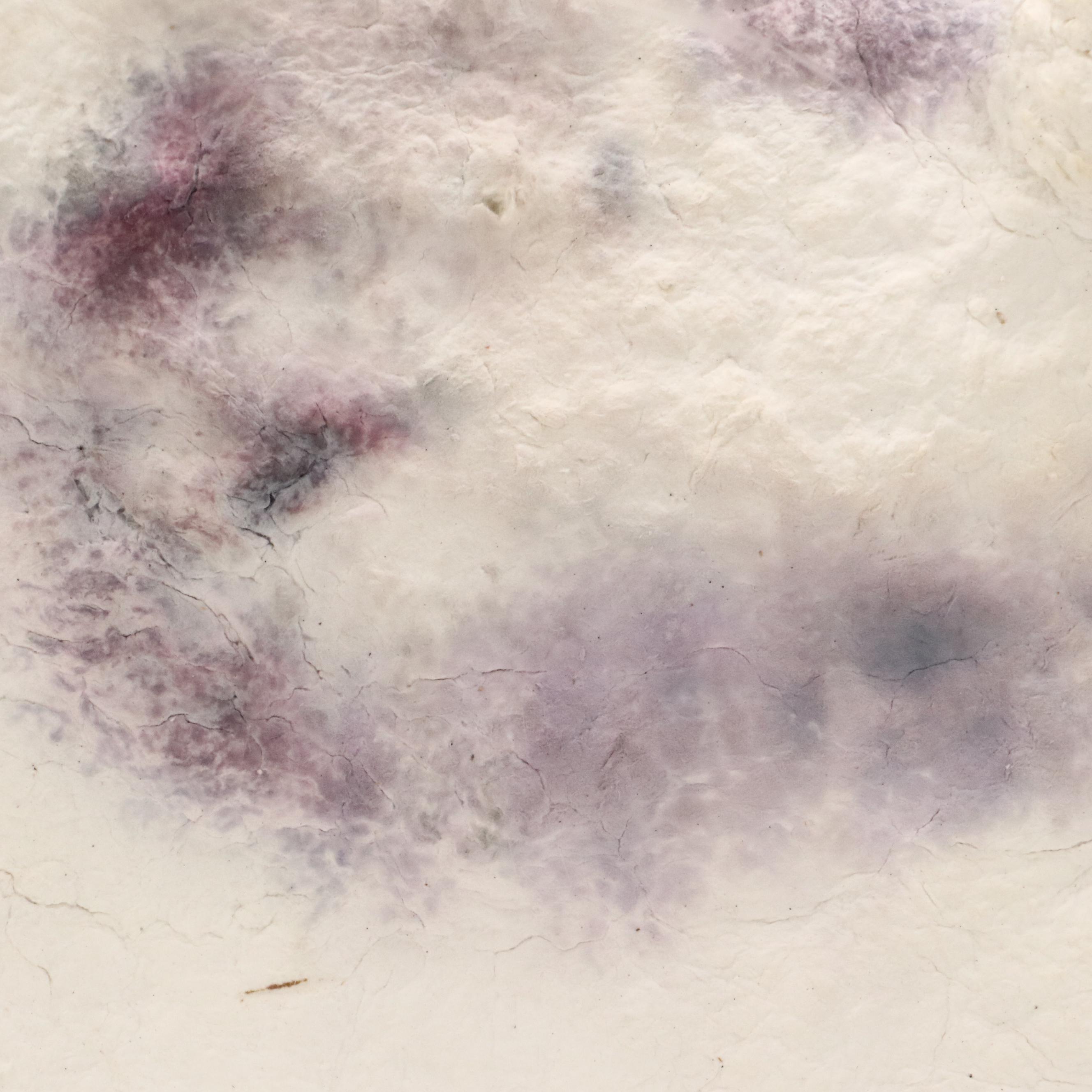 Nancy Stage Robinson Abstract Style Paper Pulp Sculpture of Fossils