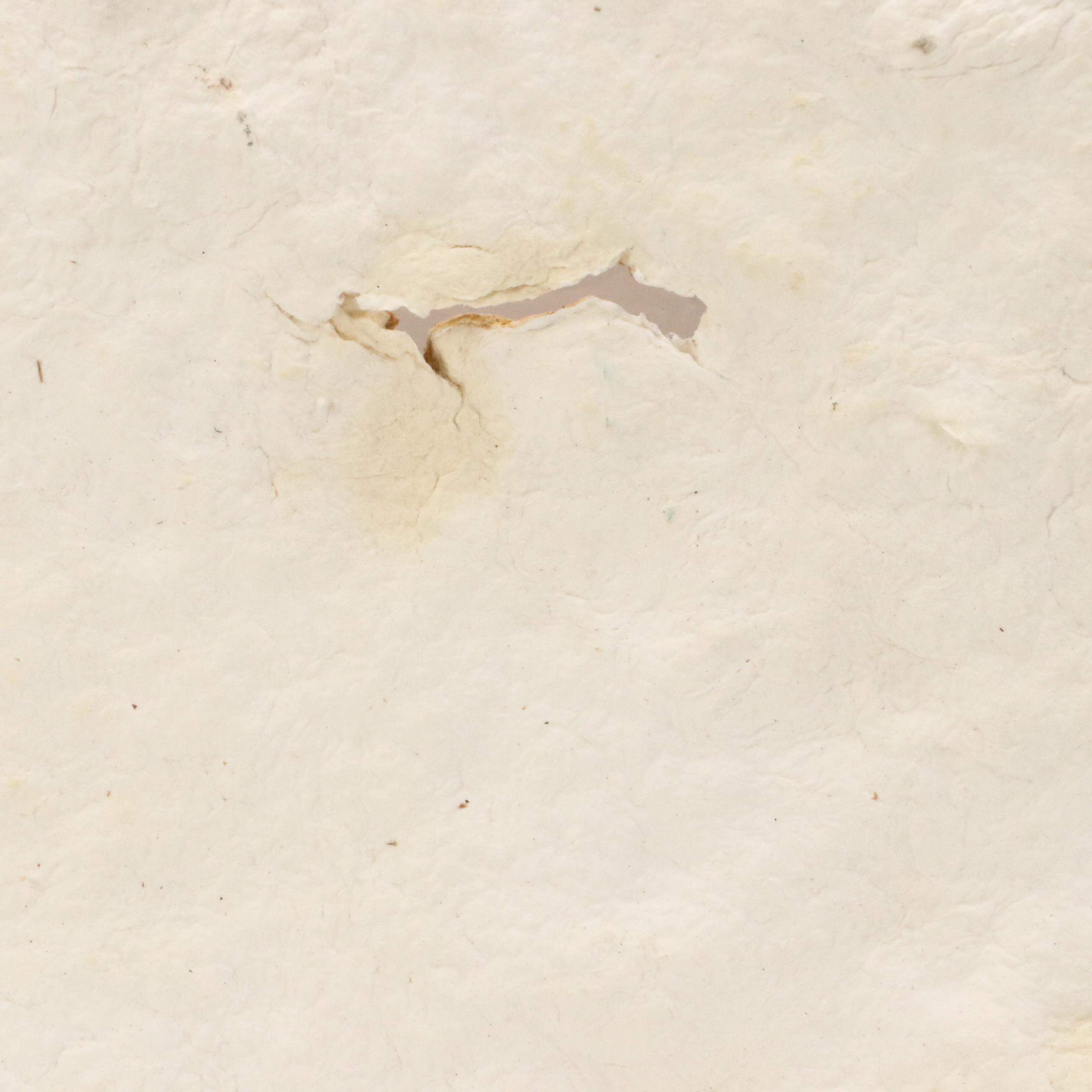 Nancy Stage Robinson Abstract Style Paper Pulp Sculpture of Fossils