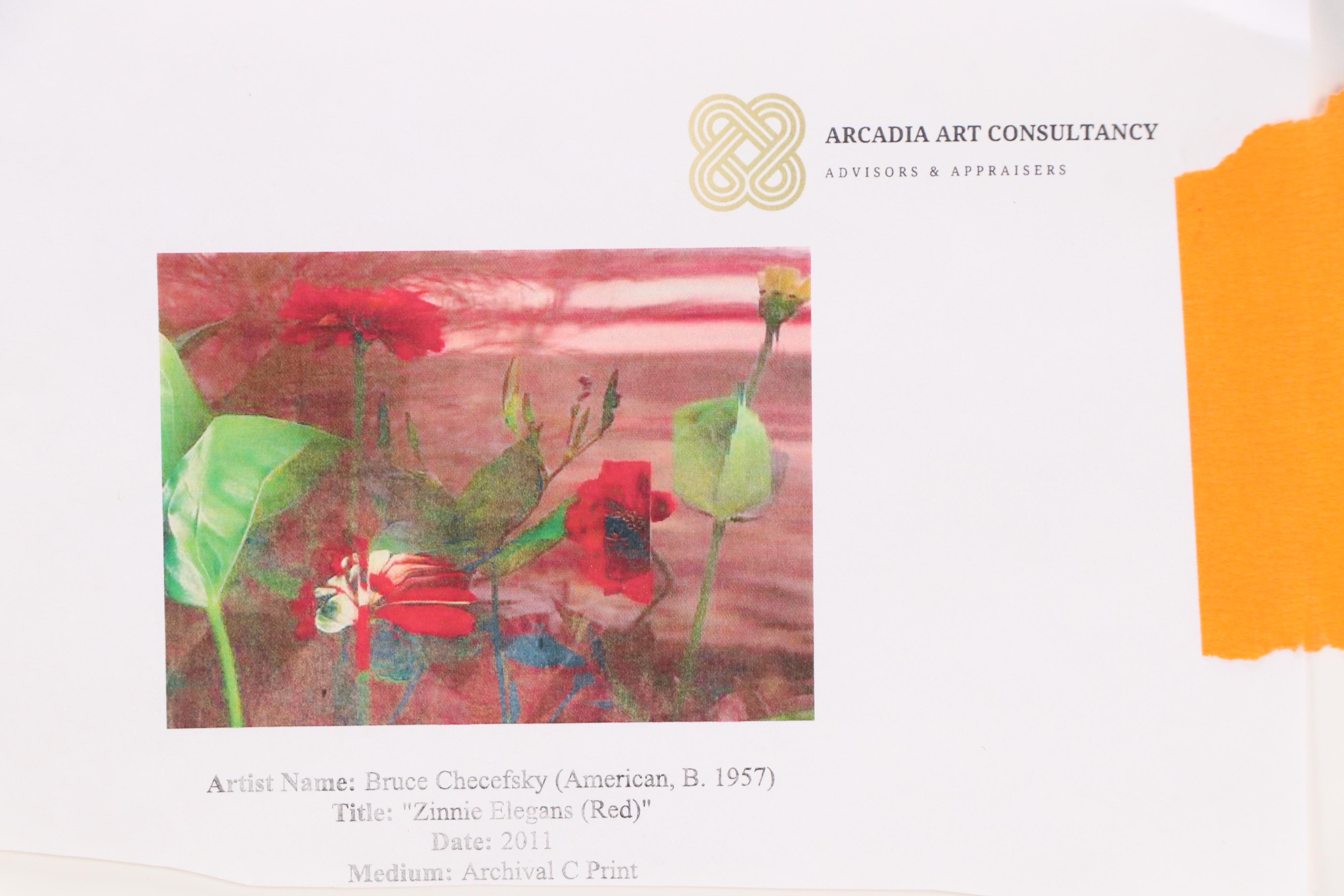 Bruce Checefsky Archival C-Print "Zinnie Elegans (Red)," 2011