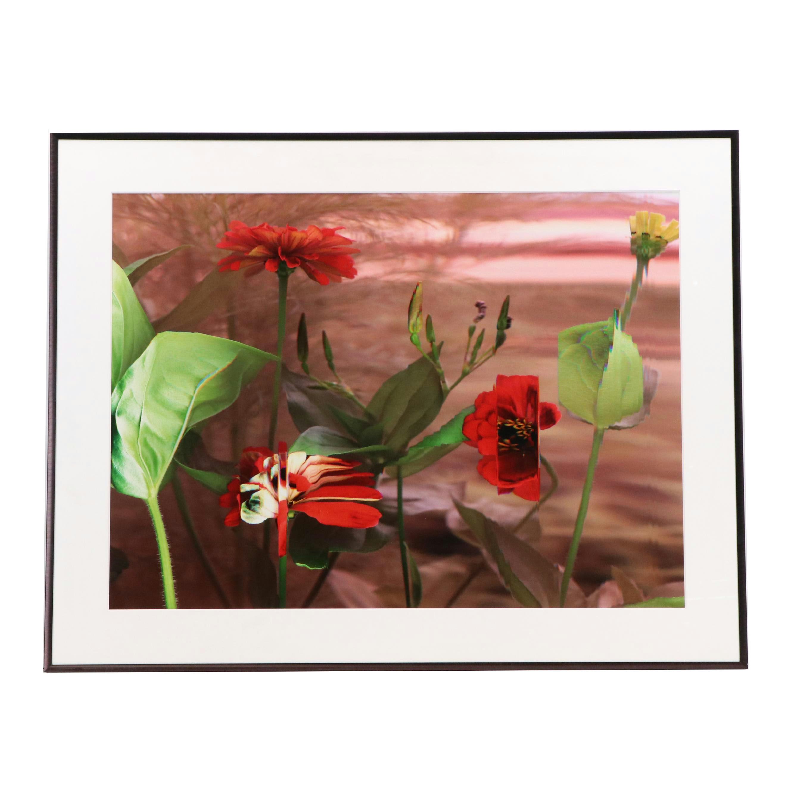 Bruce Checefsky Archival C-Print "Zinnie Elegans (Red)," 2011