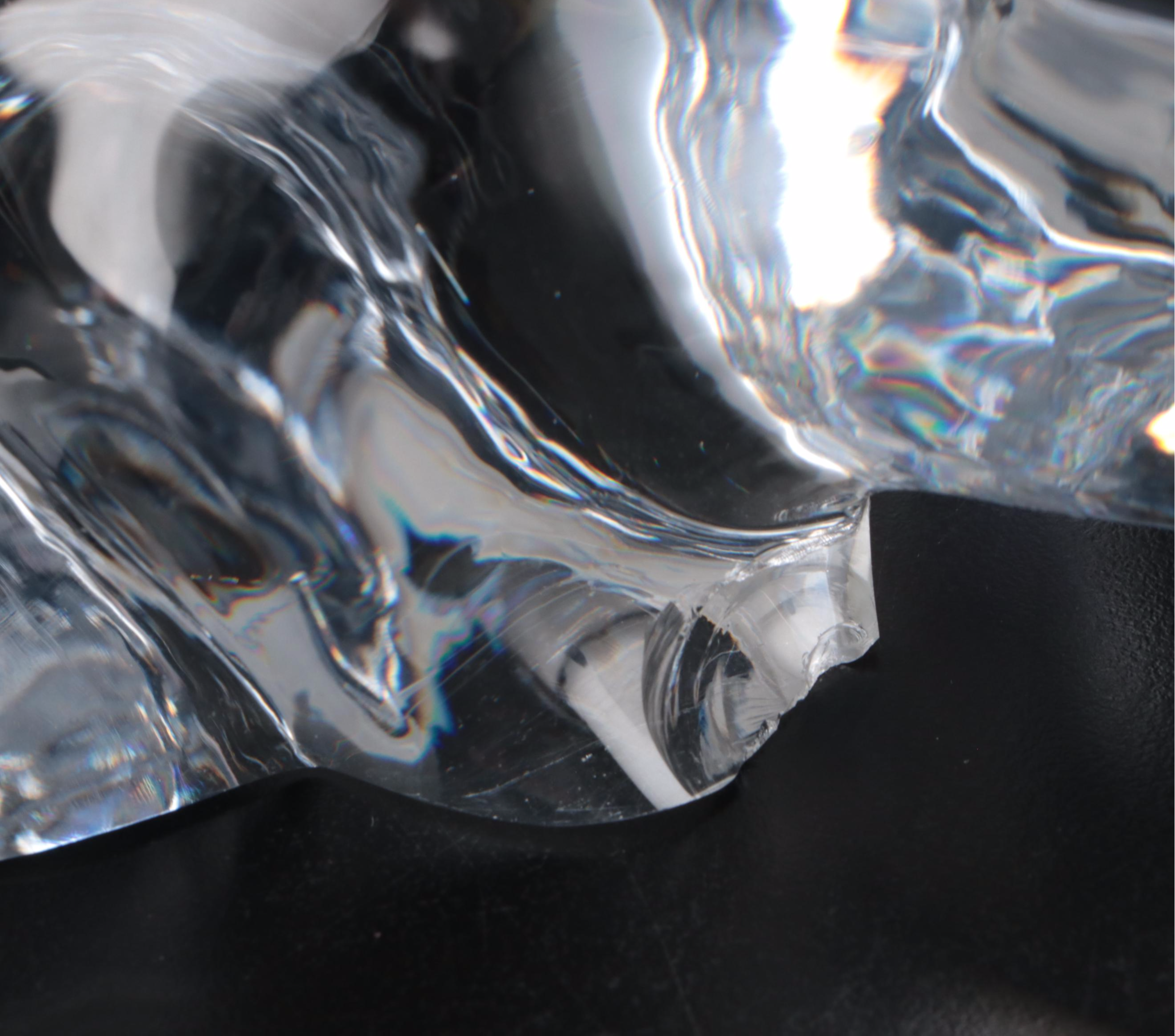 Daum France Crystal Raccoon