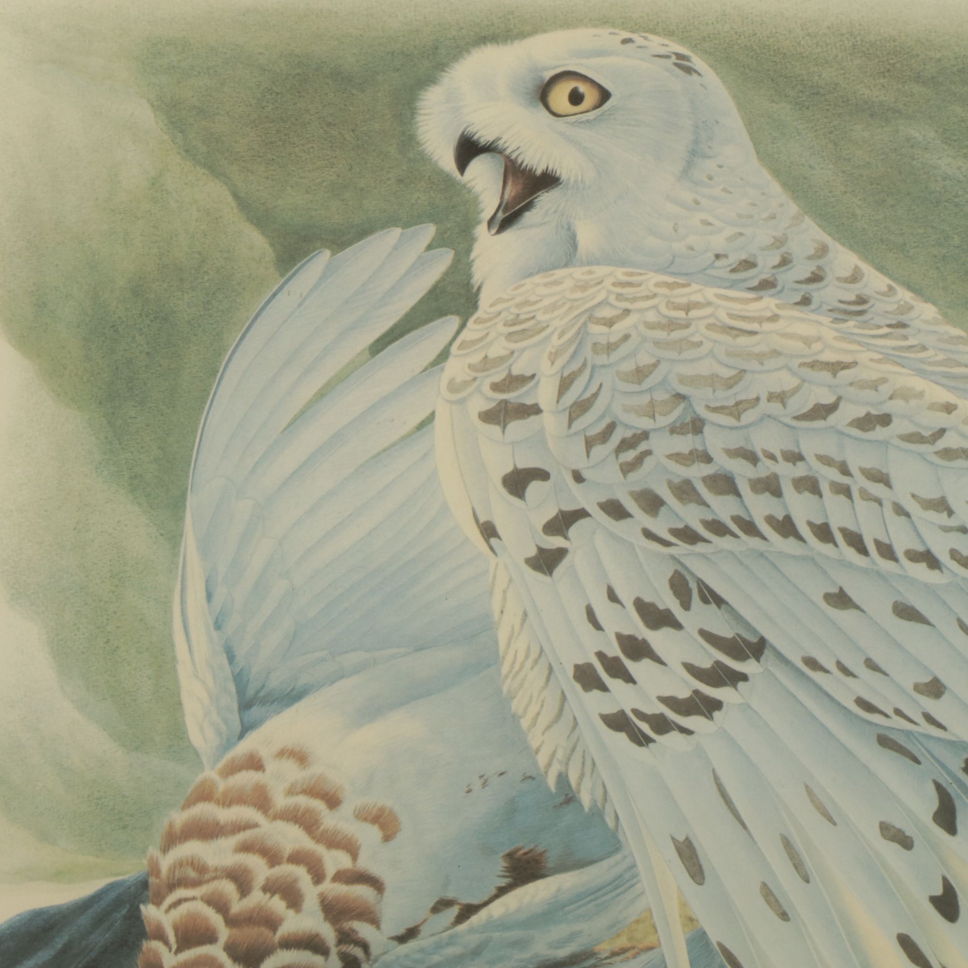 Richard Sloan "Snowy Owl" Offset Lithograph, Late 20th to Early 21st Century
