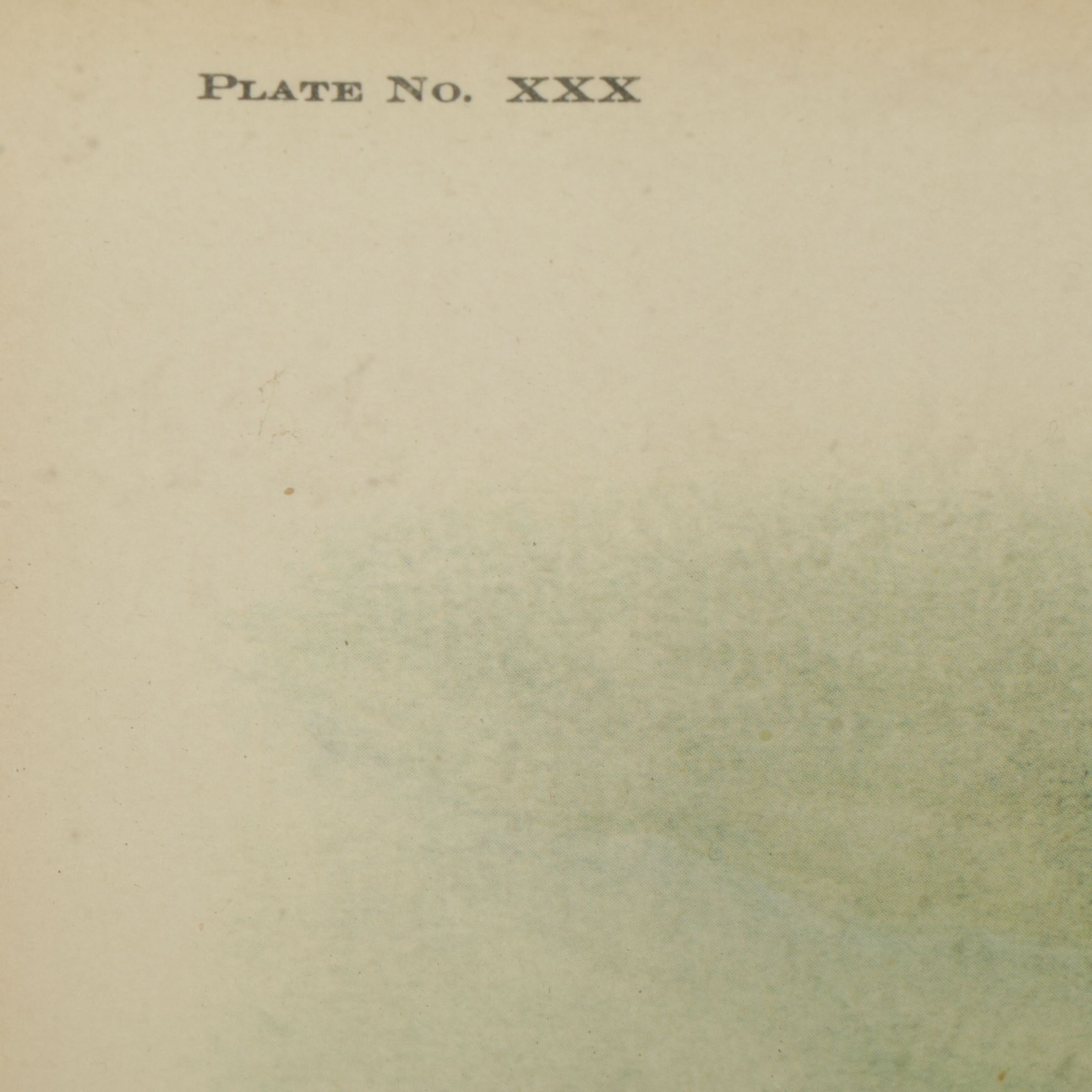 Richard Sloan "Snowy Owl" Offset Lithograph, Late 20th to Early 21st Century