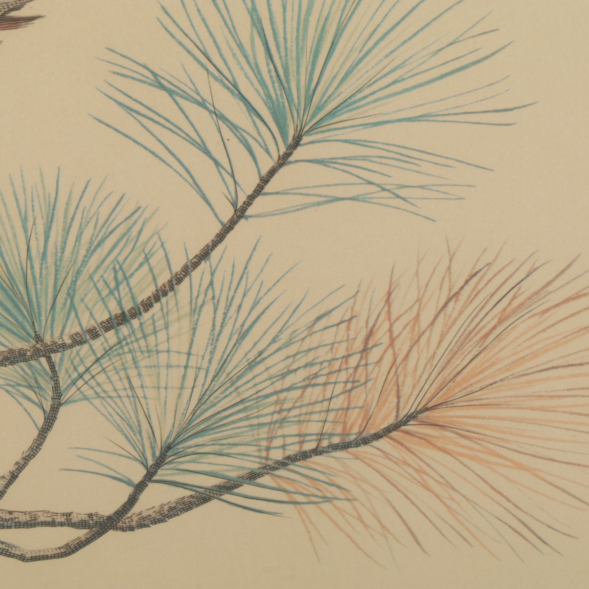 Albert Gilbert "The American Bald Eagle" Engraving with Color Offset Lithography