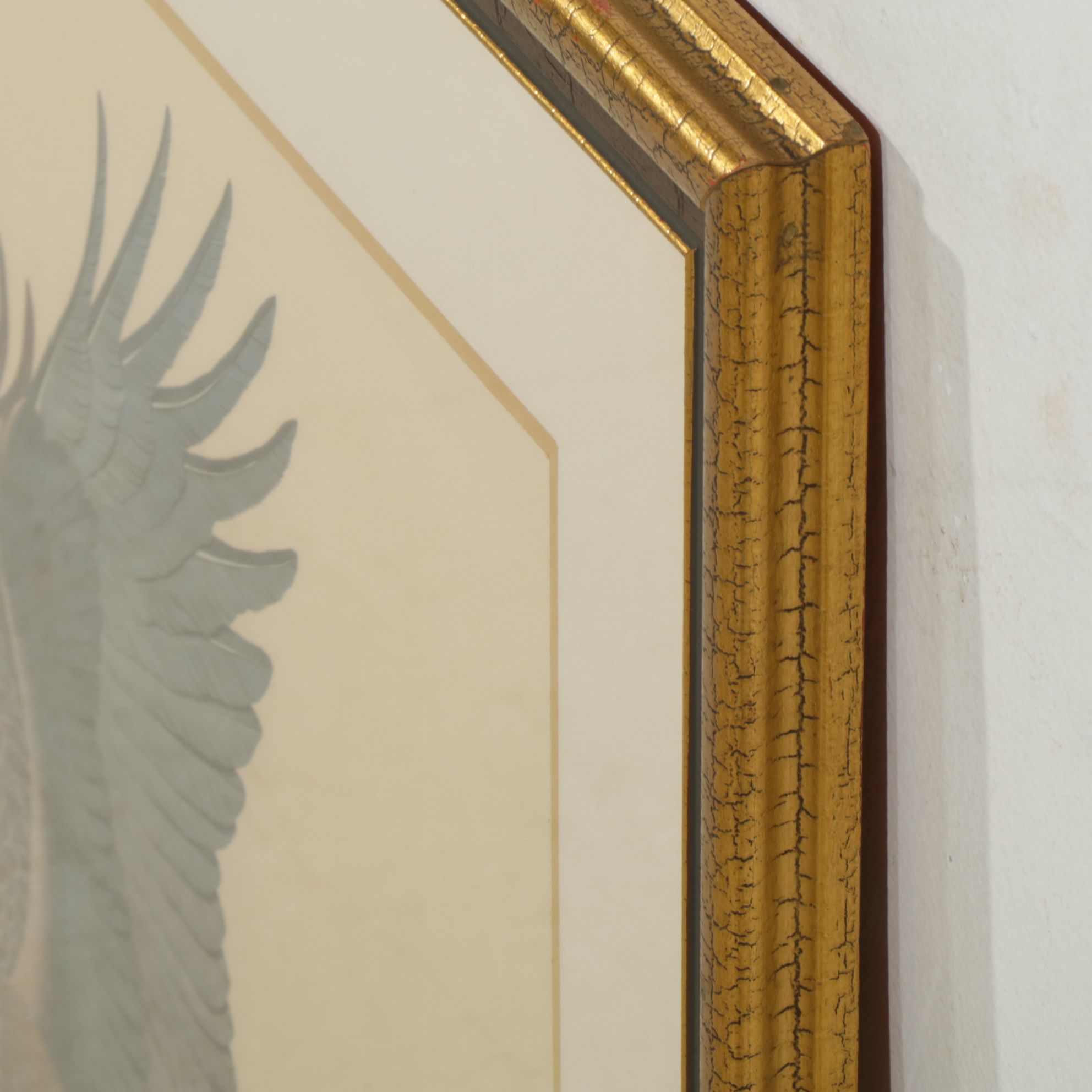 Albert Gilbert "The American Bald Eagle" Engraving with Color Offset Lithography