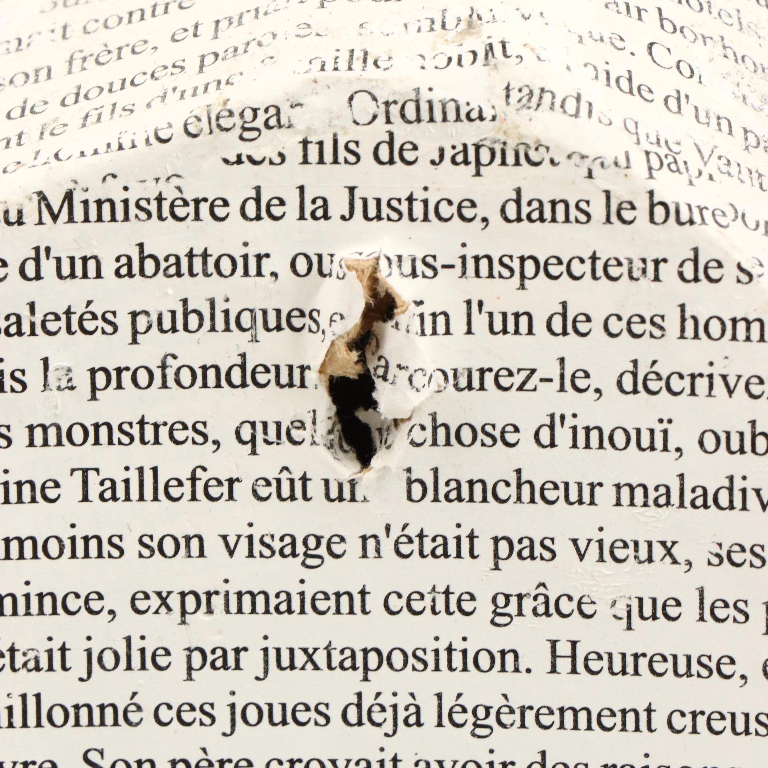 Papier-Mâché French Print Stag Head with Antler Wall Coat and Hat Rack