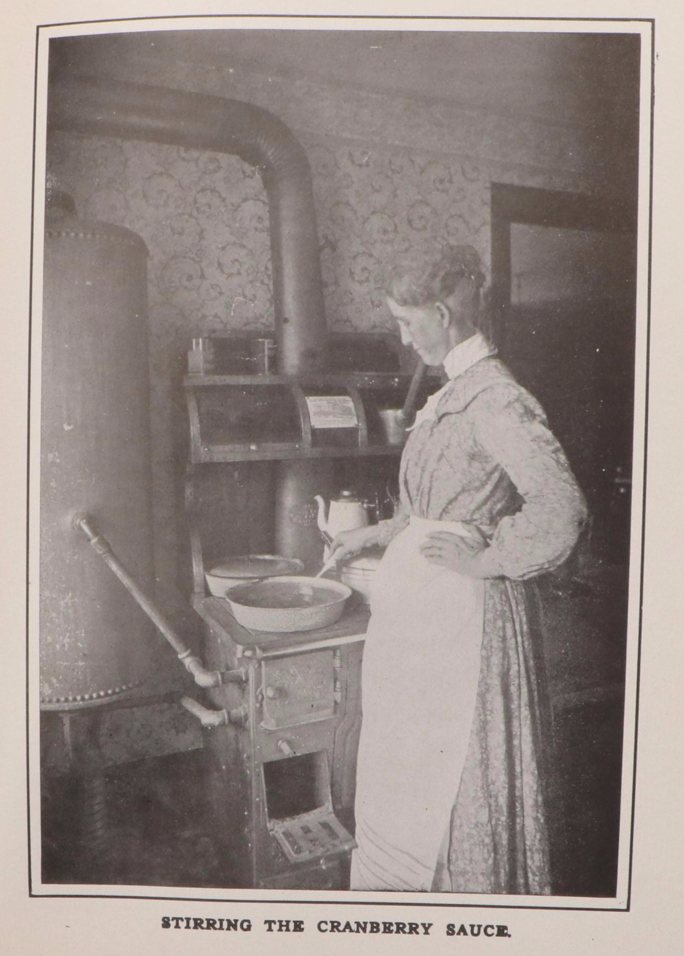 "The White House Cook Book" by Hugo Ziemann and Fanny L. Gillette, 1910