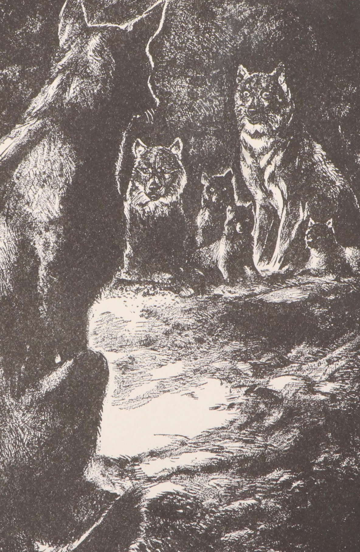 Kurt Wiese Illustrated "The Jungle Book" by Rudyard Kipling, 1935