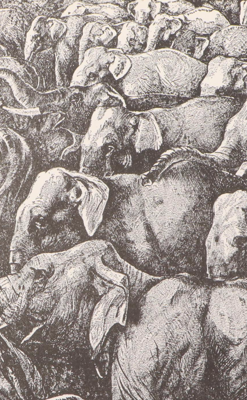 Kurt Wiese Illustrated "The Jungle Book" by Rudyard Kipling, 1935