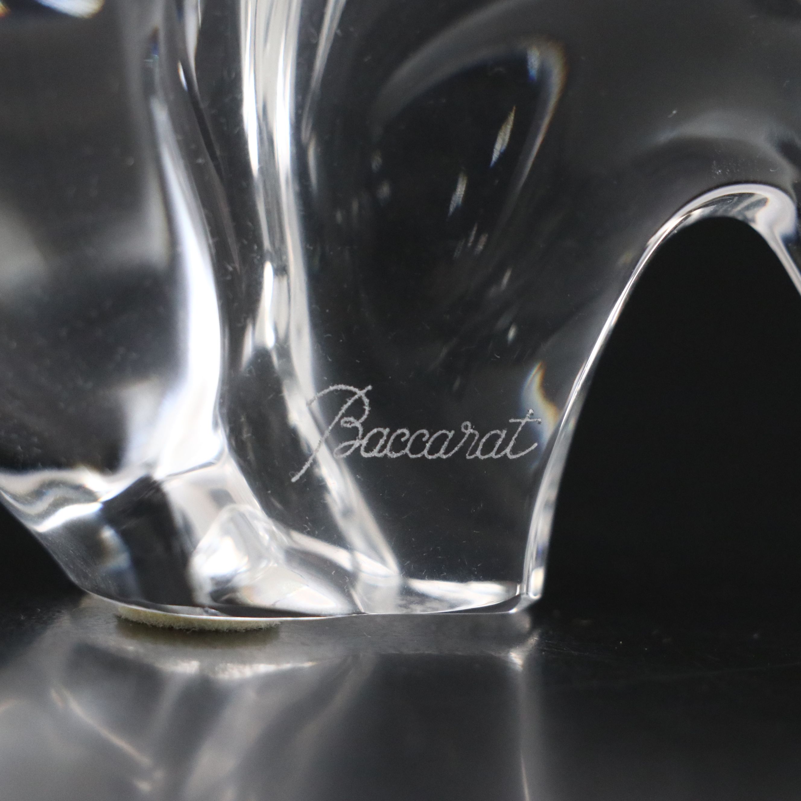 Baccarat Crystal Buffalo with Box