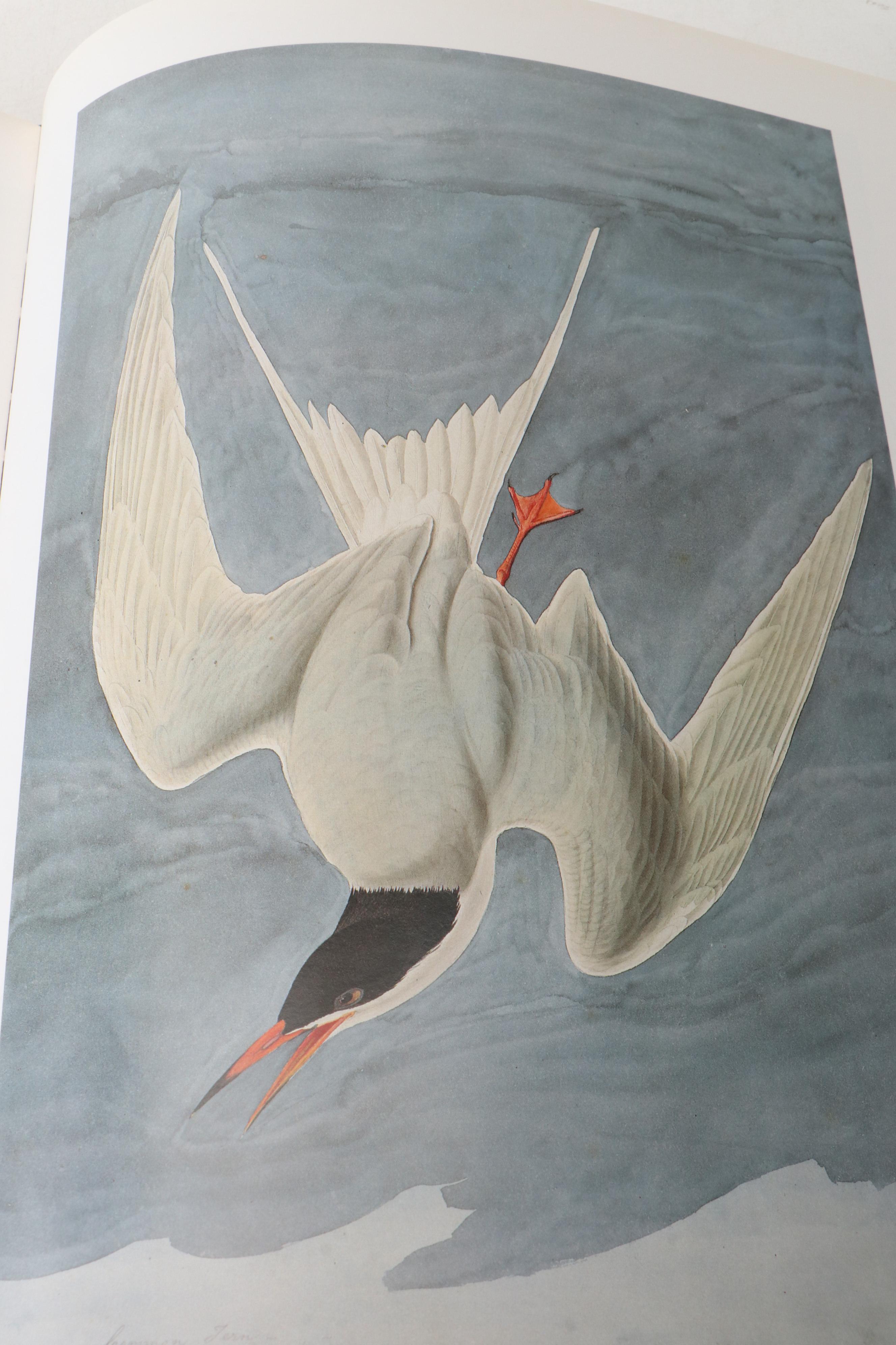 First Printing "John James Audubon: Watercolors for The Birds of America," 1993