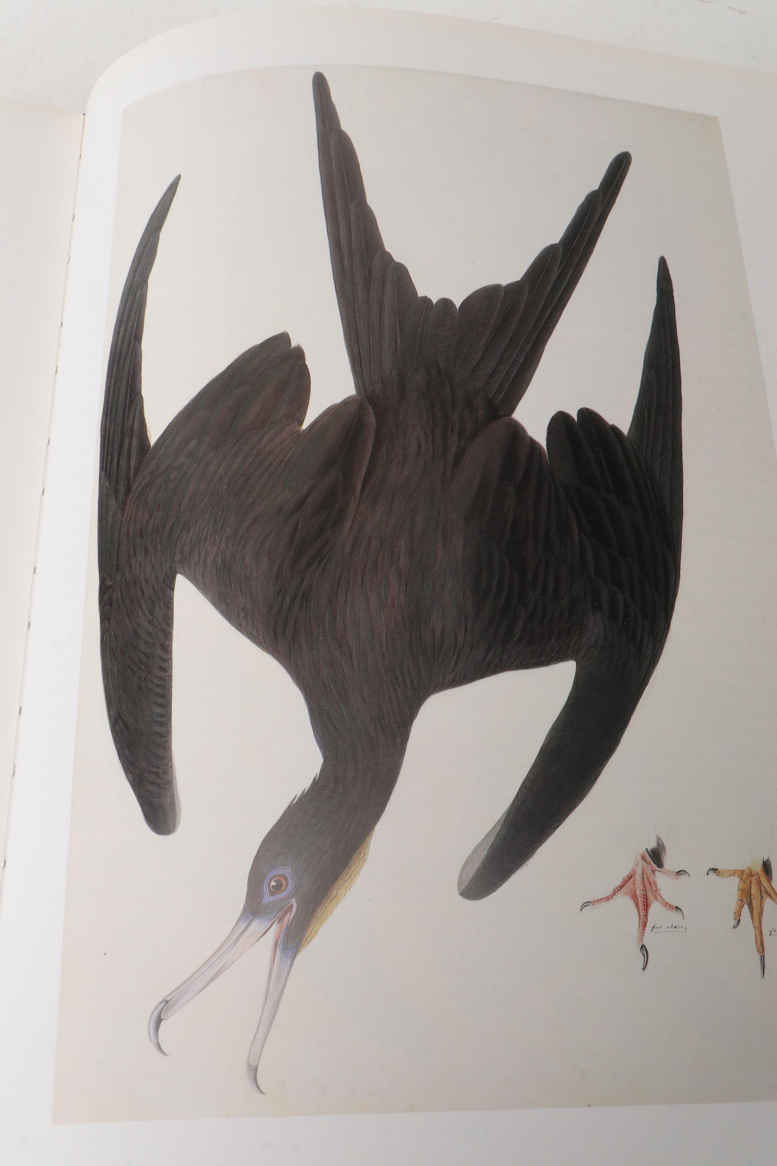 First Printing "John James Audubon: Watercolors for The Birds of America," 1993