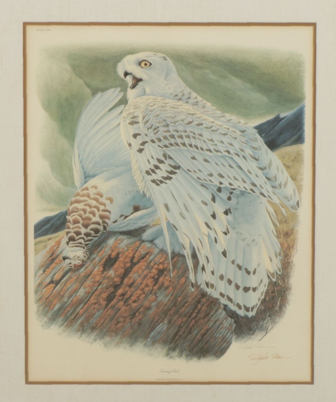 Richard Sloan "Snowy Owl" Offset Lithograph, Late 20th to Early 21st Century