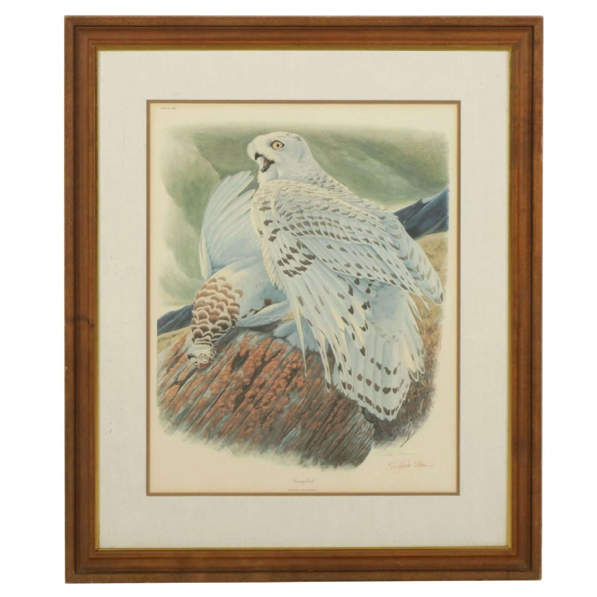Richard Sloan "Snowy Owl" Offset Lithograph, Late 20th to Early 21st Century