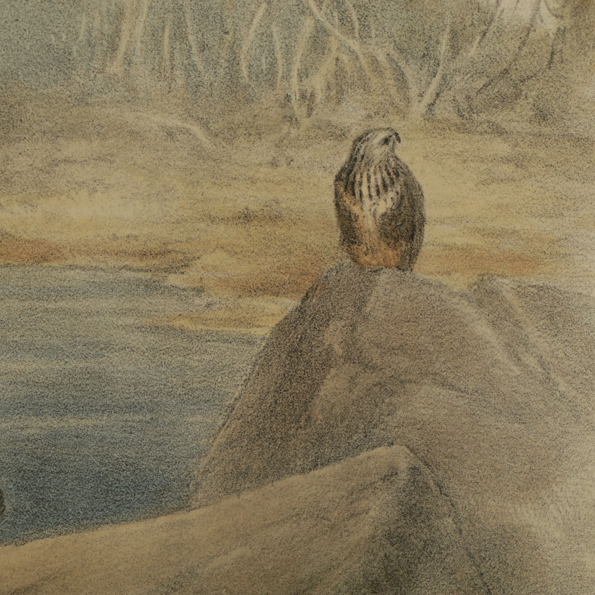 Hand-Colored Lithograph after John Gould "Archibuted Lagopus", Late 19th Century