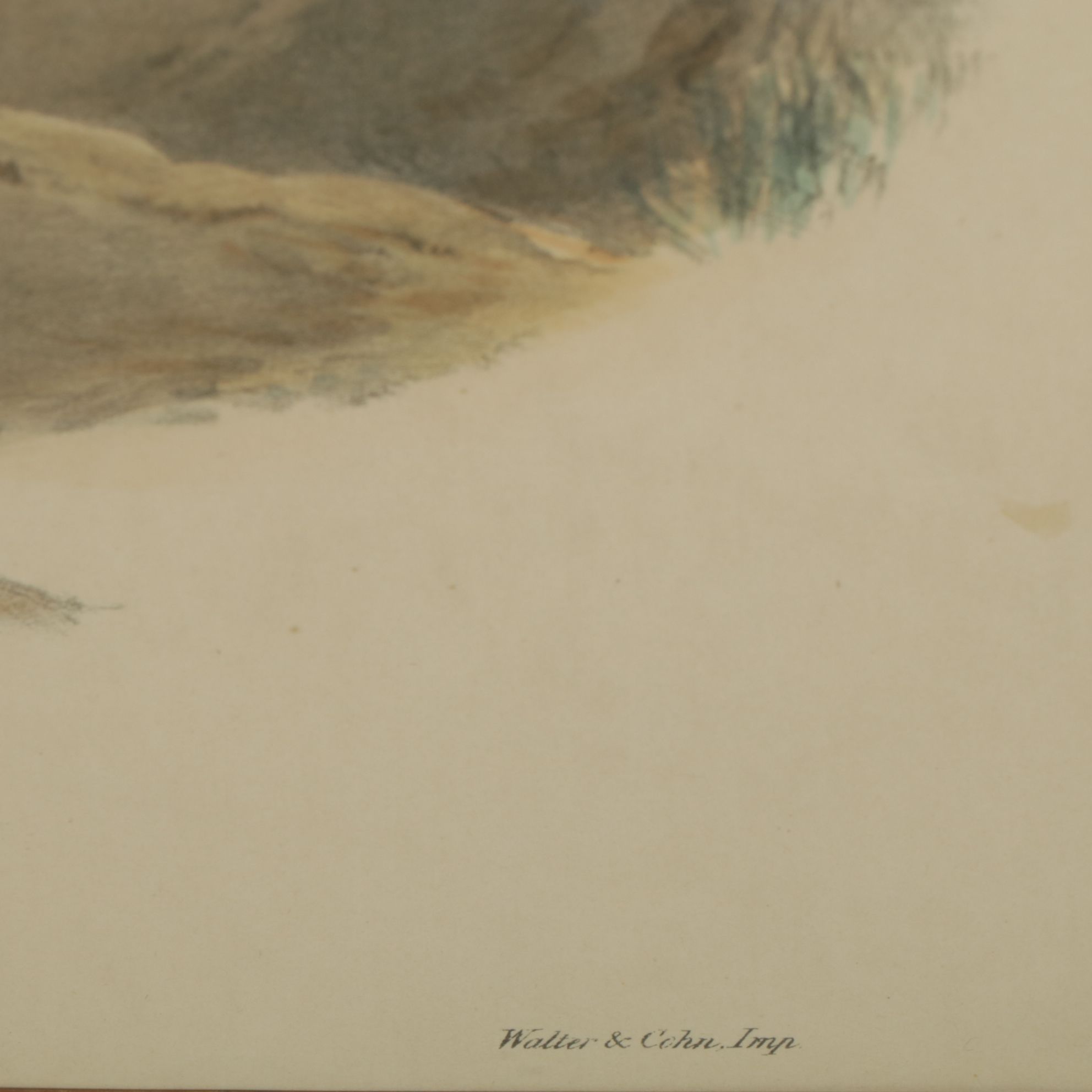 Hand-Colored Lithograph after John Gould "Archibuted Lagopus", Late 19th Century