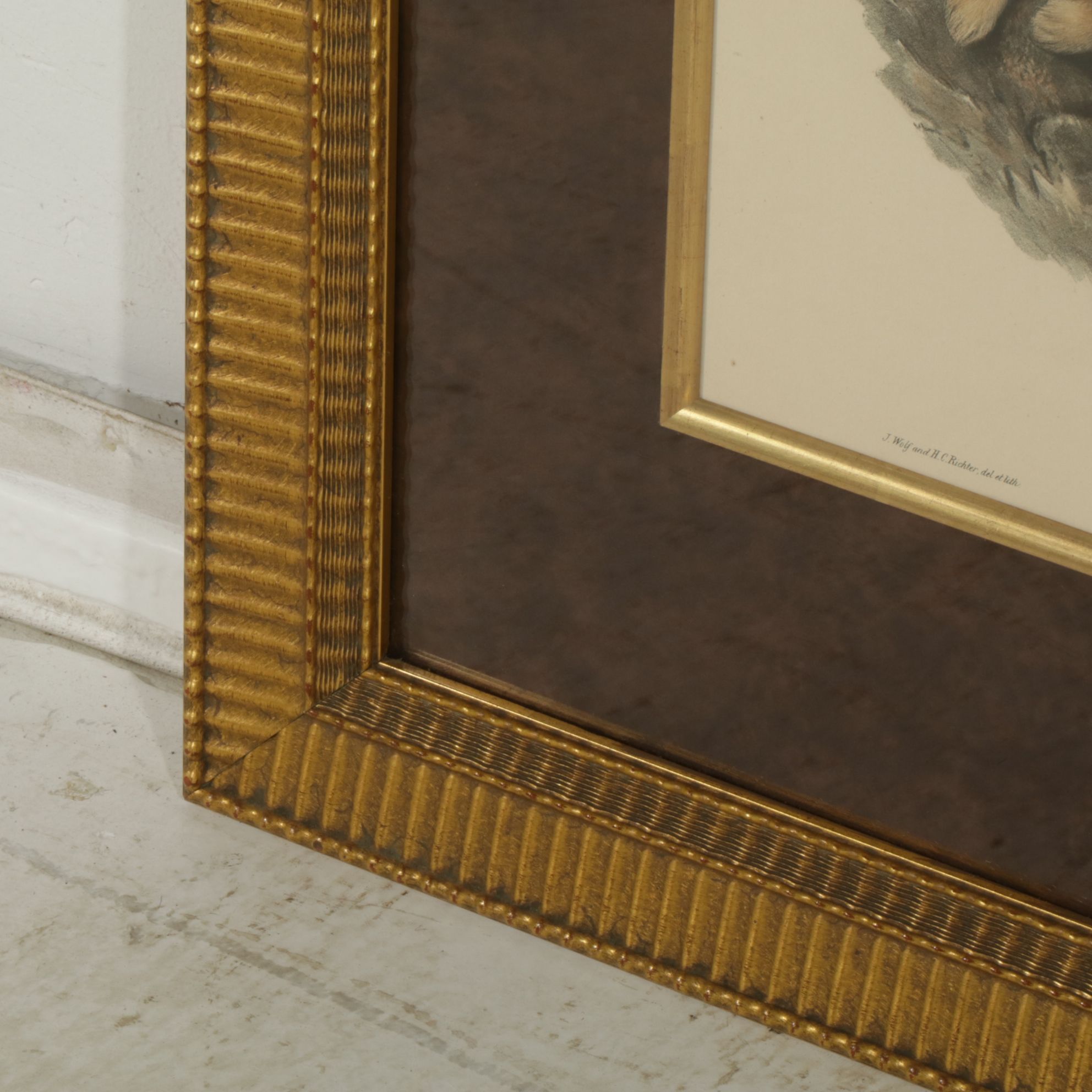 Hand-Colored Lithograph after John Gould "Archibuted Lagopus", Late 19th Century