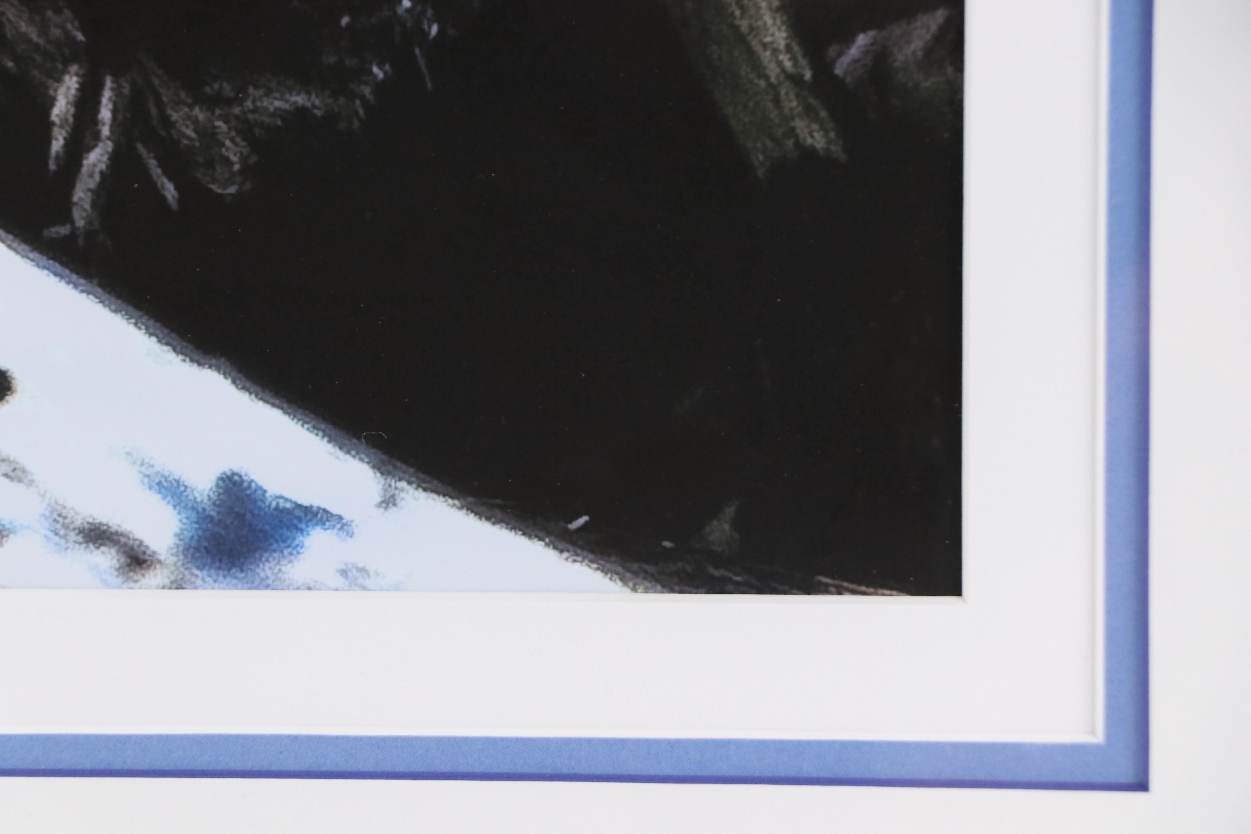 Barry C. Evans Giclée Photograph of Great Blue Heron, 2010