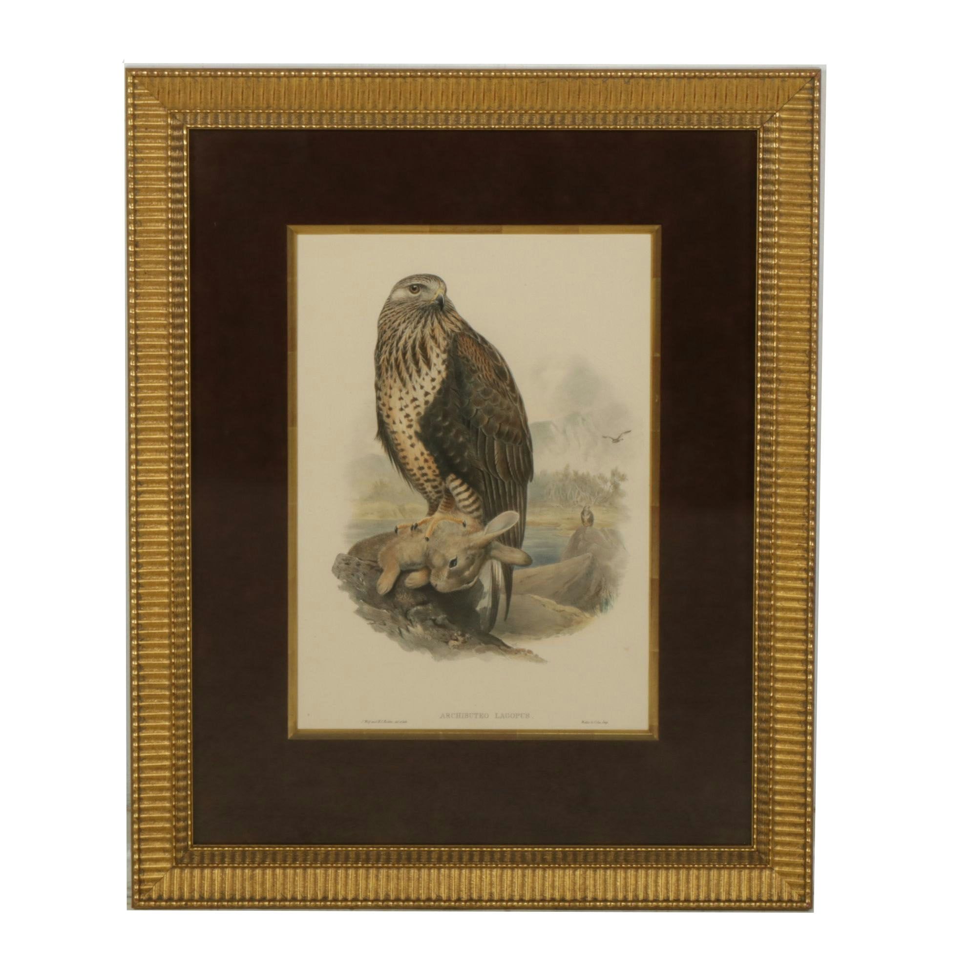 Hand-Colored Lithograph after John Gould "Archibuted Lagopus", Late 19th Century