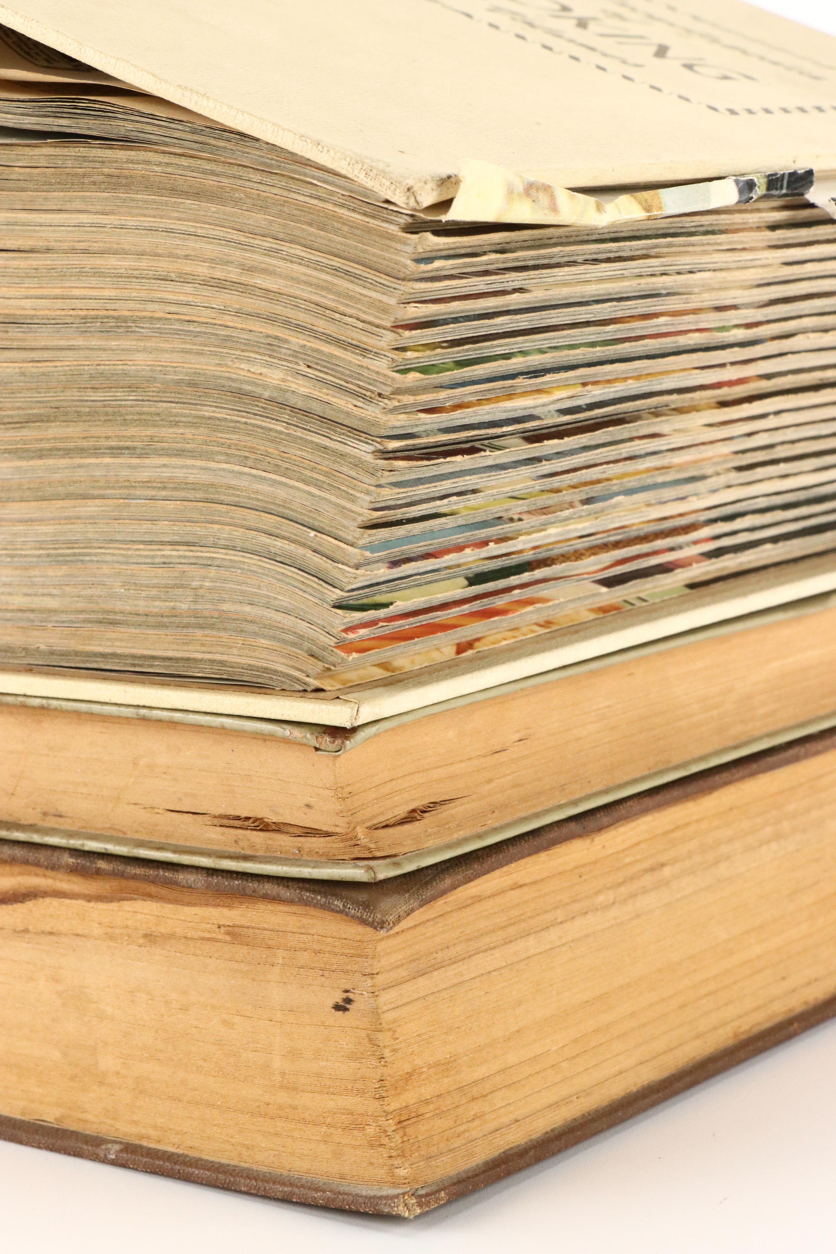 "Basic Home Carpentry" and More Domestic Nonfiction Books