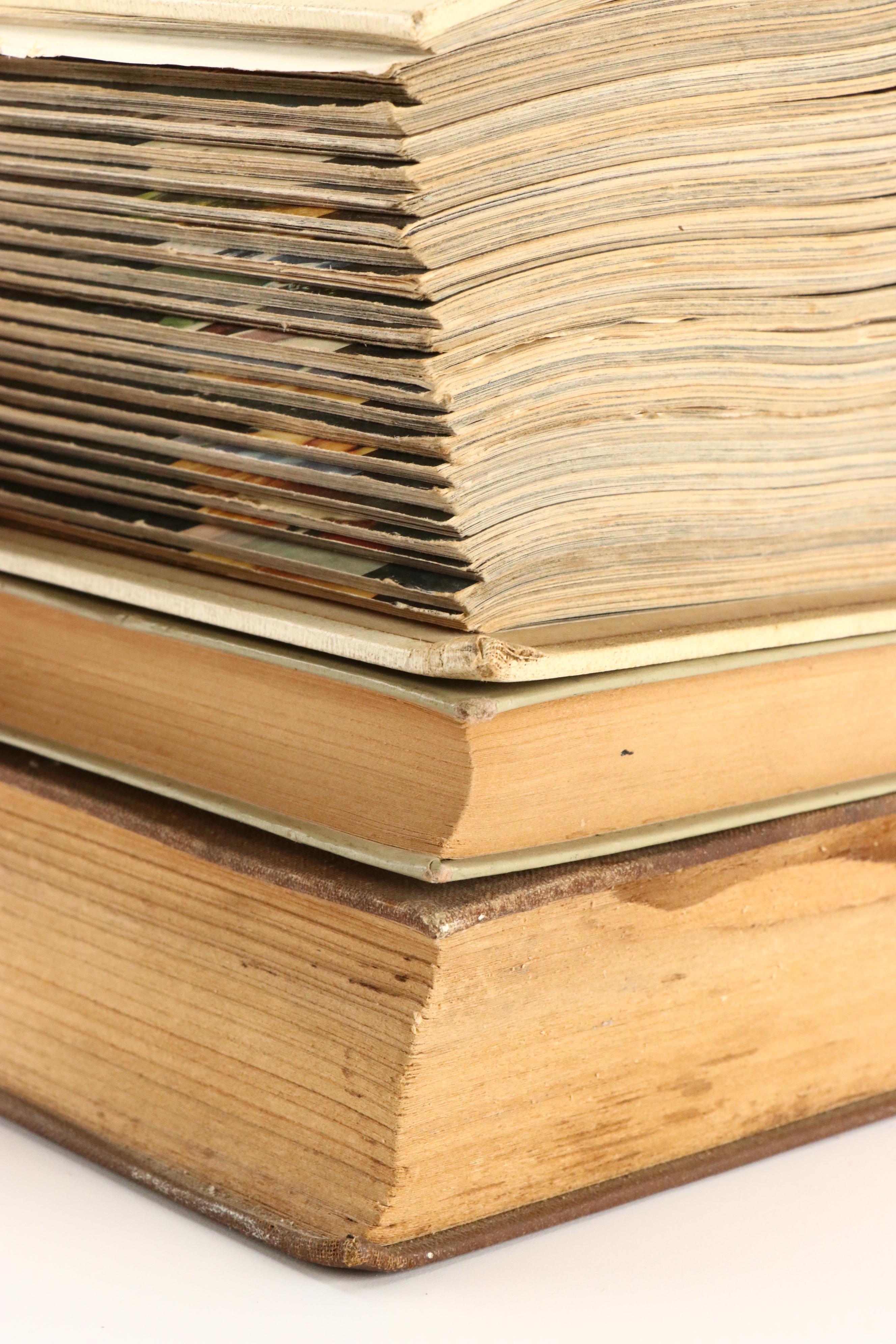 "Basic Home Carpentry" and More Domestic Nonfiction Books