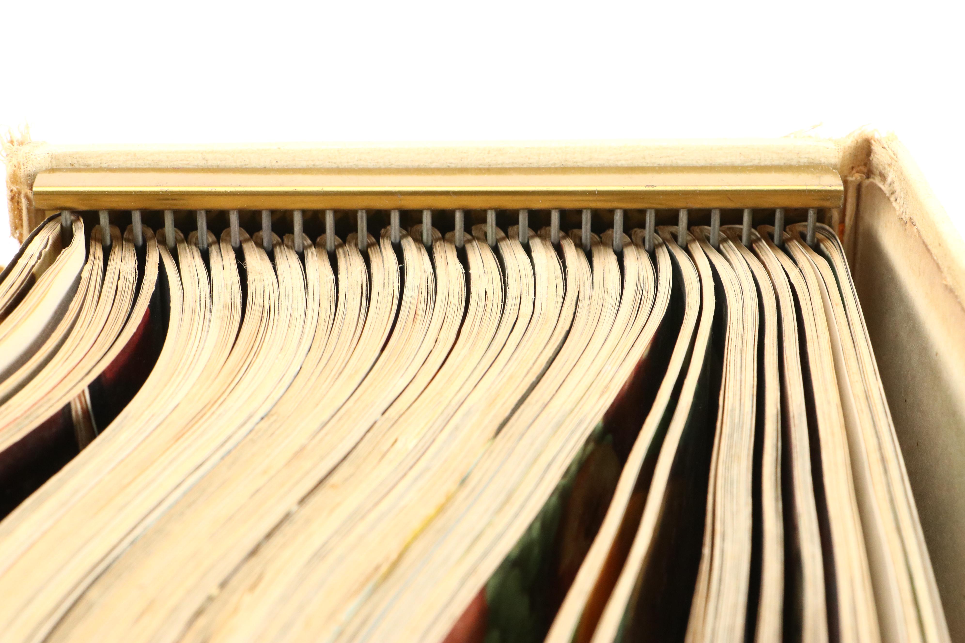 "Basic Home Carpentry" and More Domestic Nonfiction Books