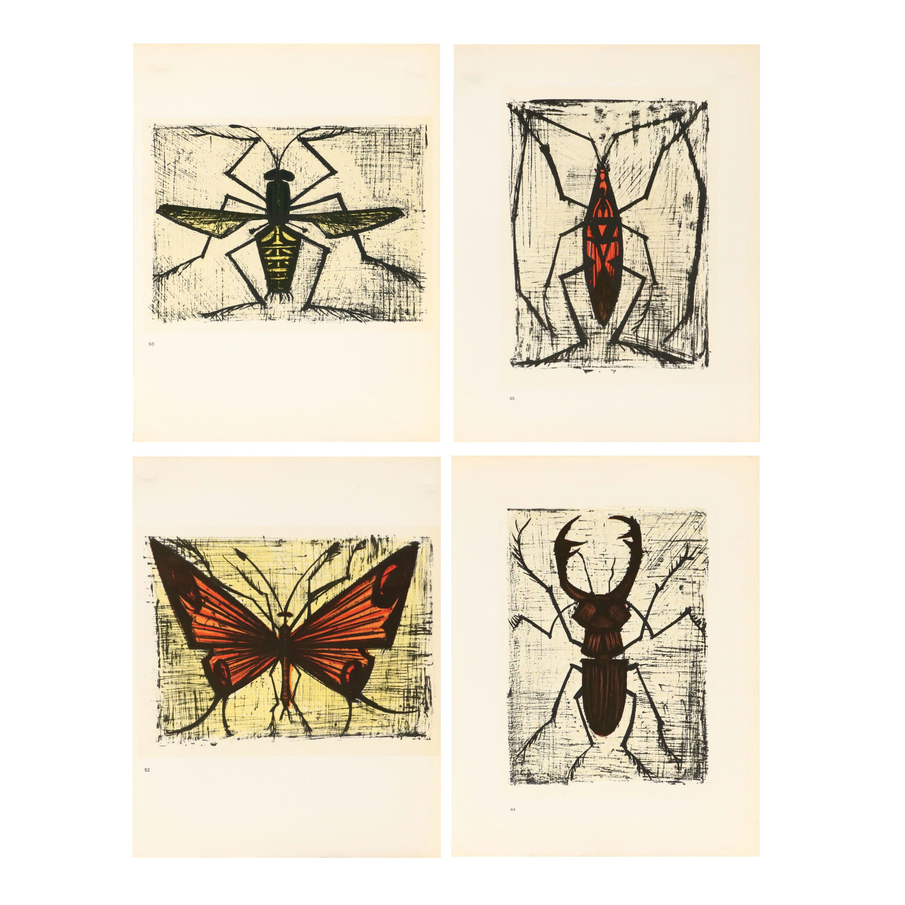 After Bernard Buffet Lithograph Bookplates of Insects, Circa 1967