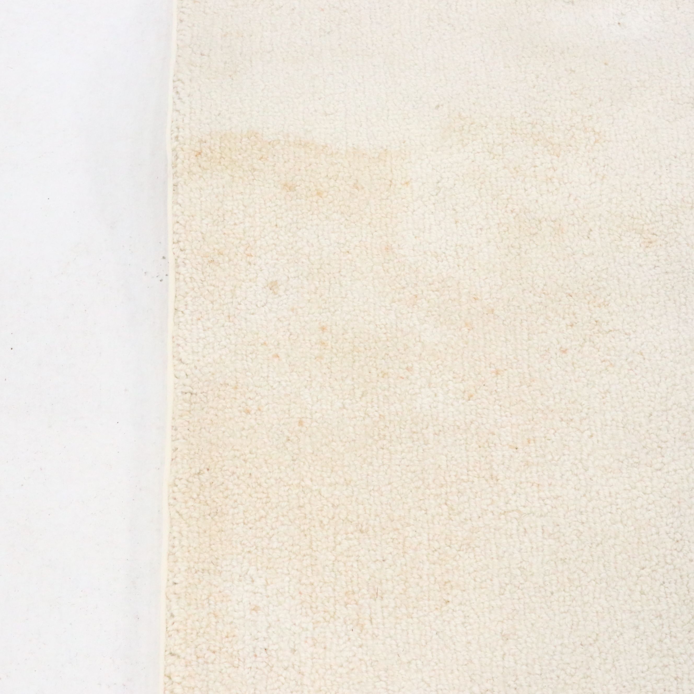 12' x 12' Machine Made Modernist Style Floral Room-Sized Rug