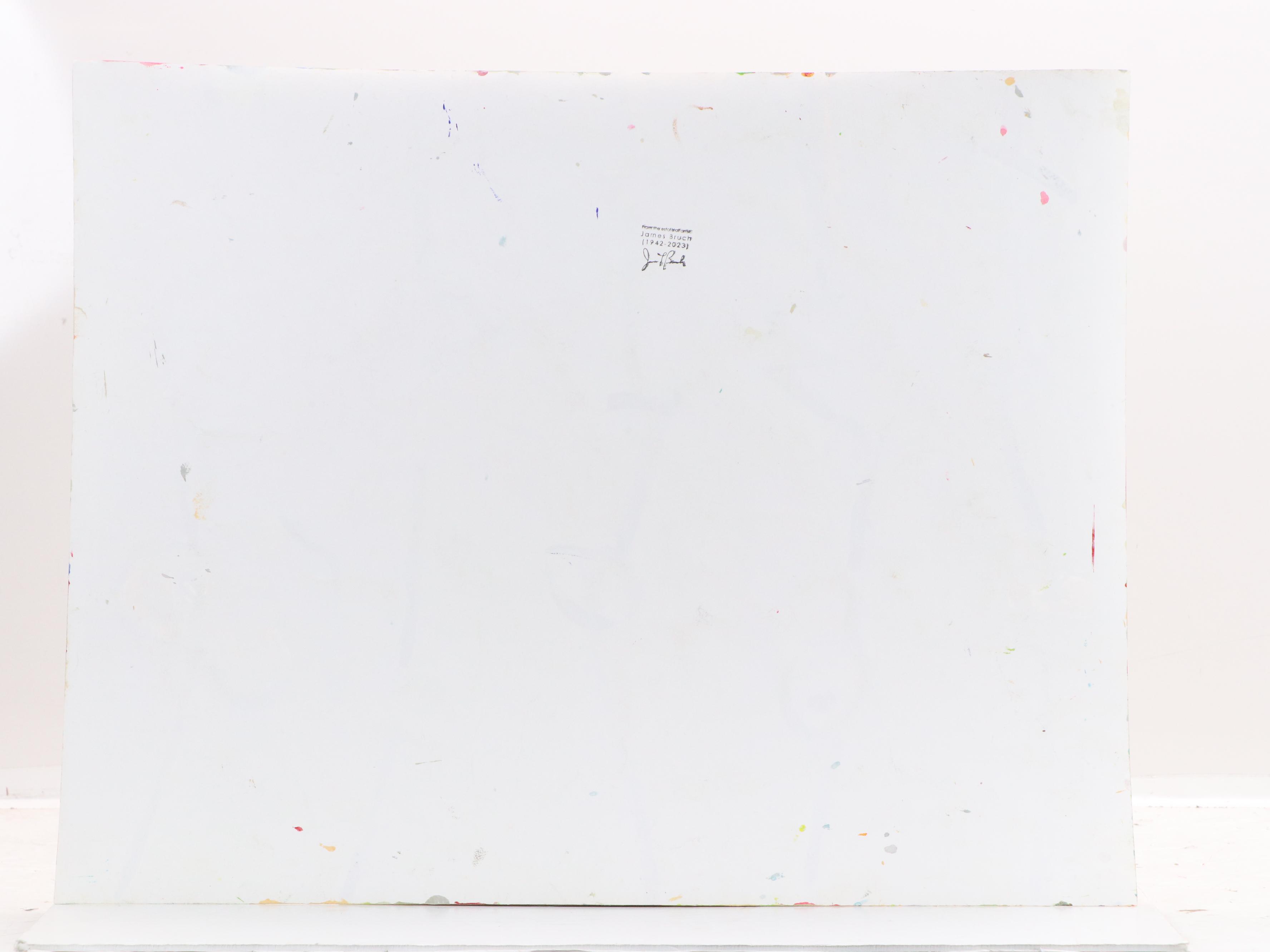 James L. Bruch Abstract Acrylic Painting