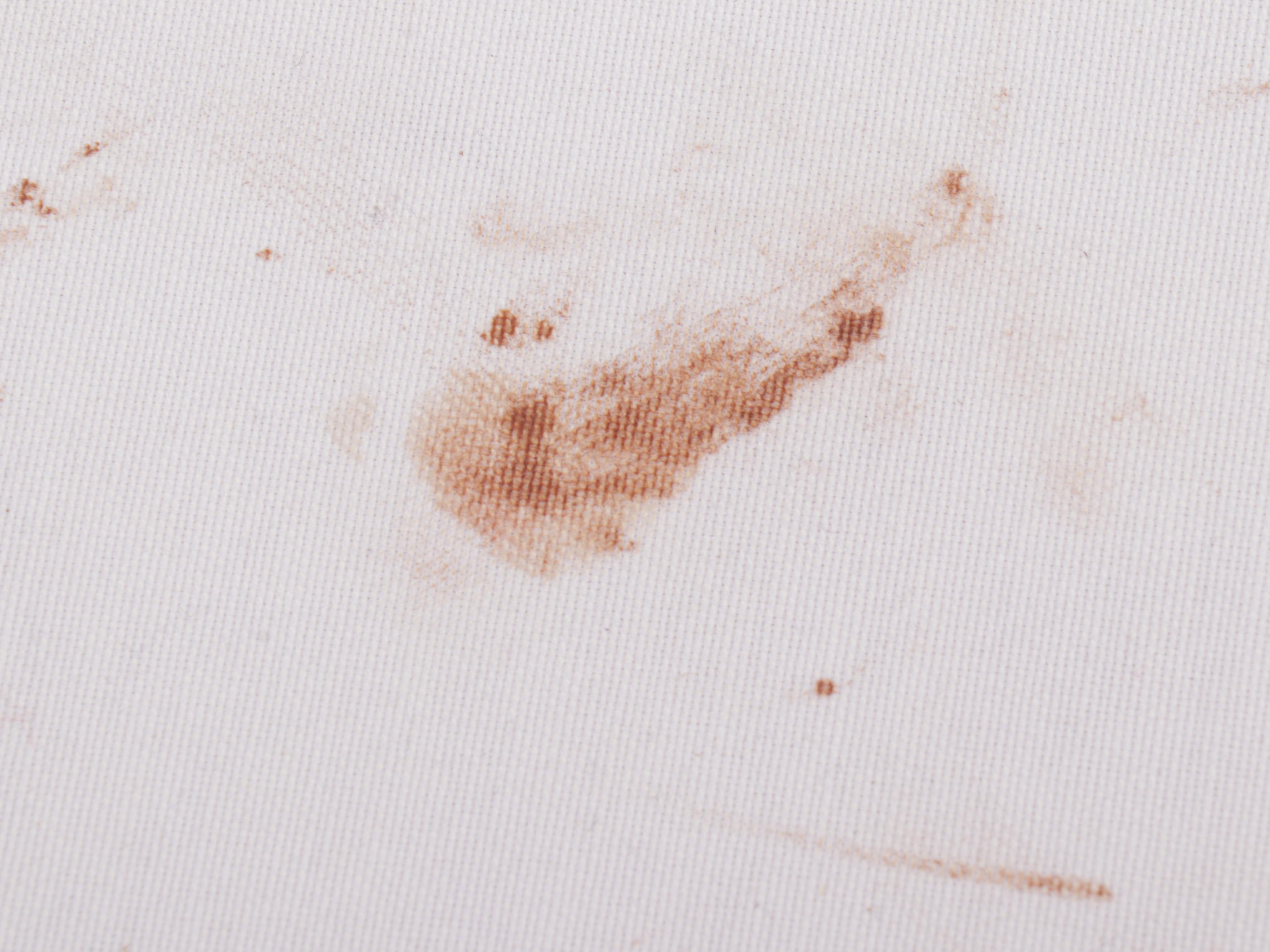 Set of Four Contemporary Upholstered Wooden Barstools