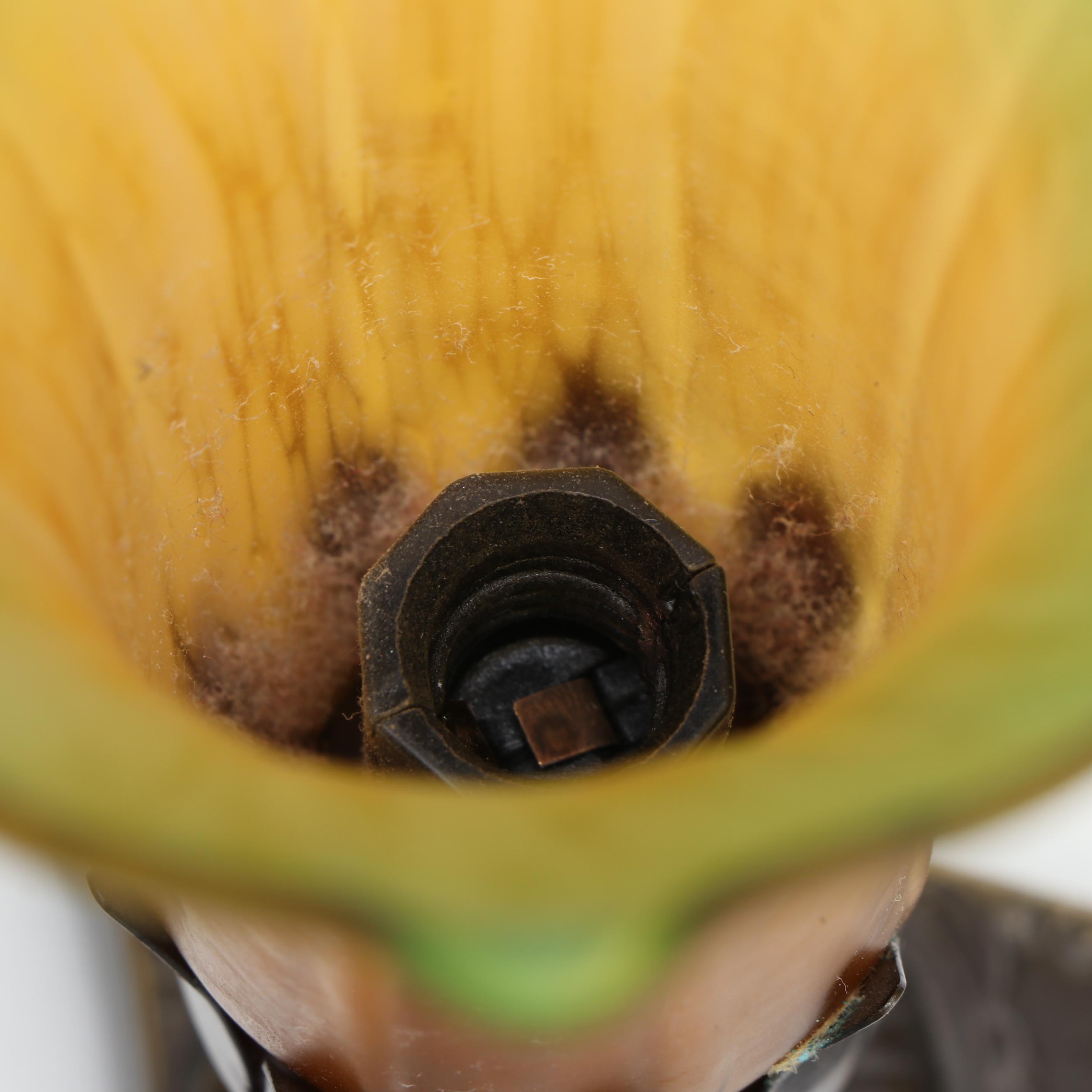 Art Nouveau Style Trumpet Lily Boudoir Lamps, Accent Lamp with Iridescent Shade