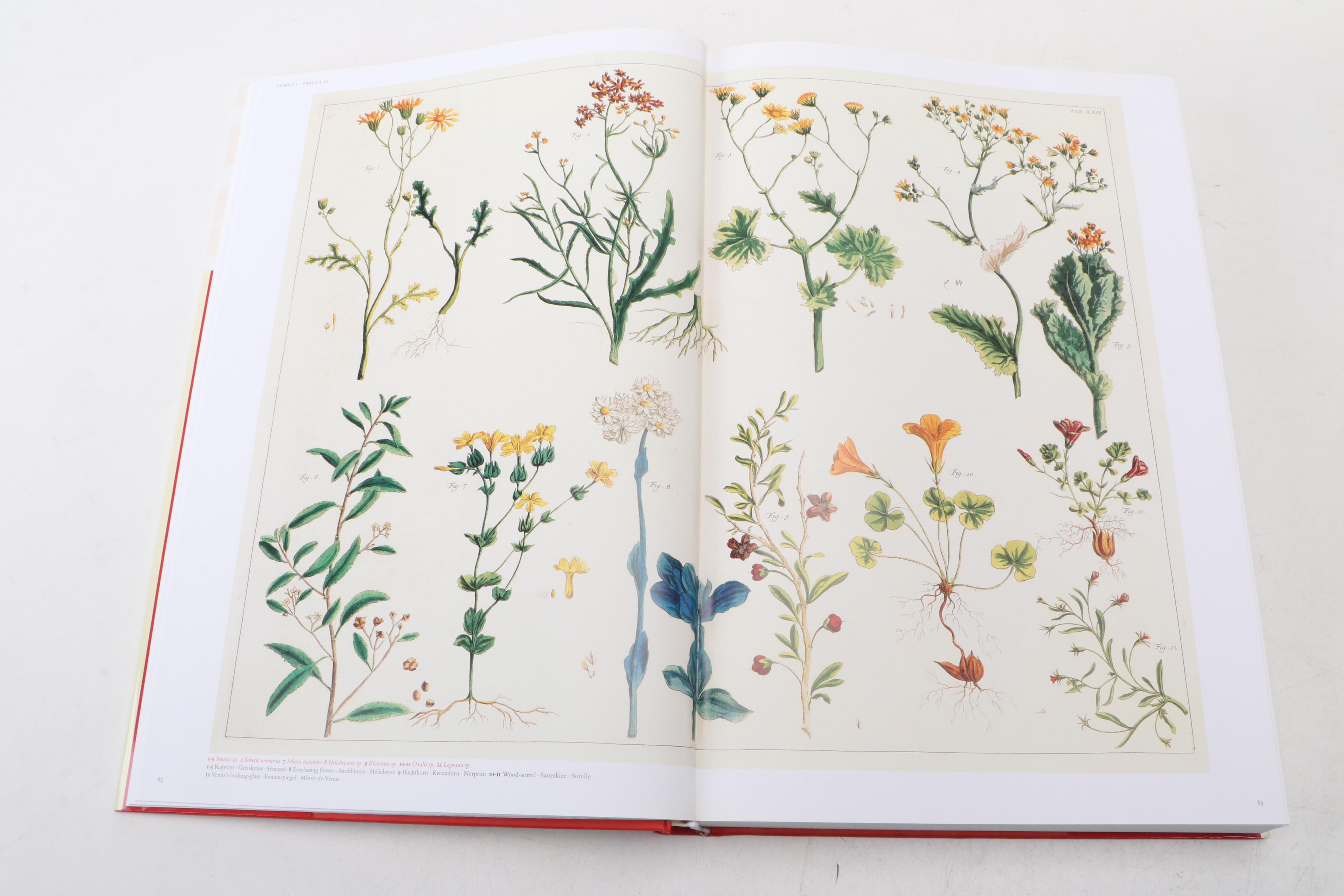 "Cabinet of Natural Curiosities: The Complete Plates" by Albertus Seba, 2005