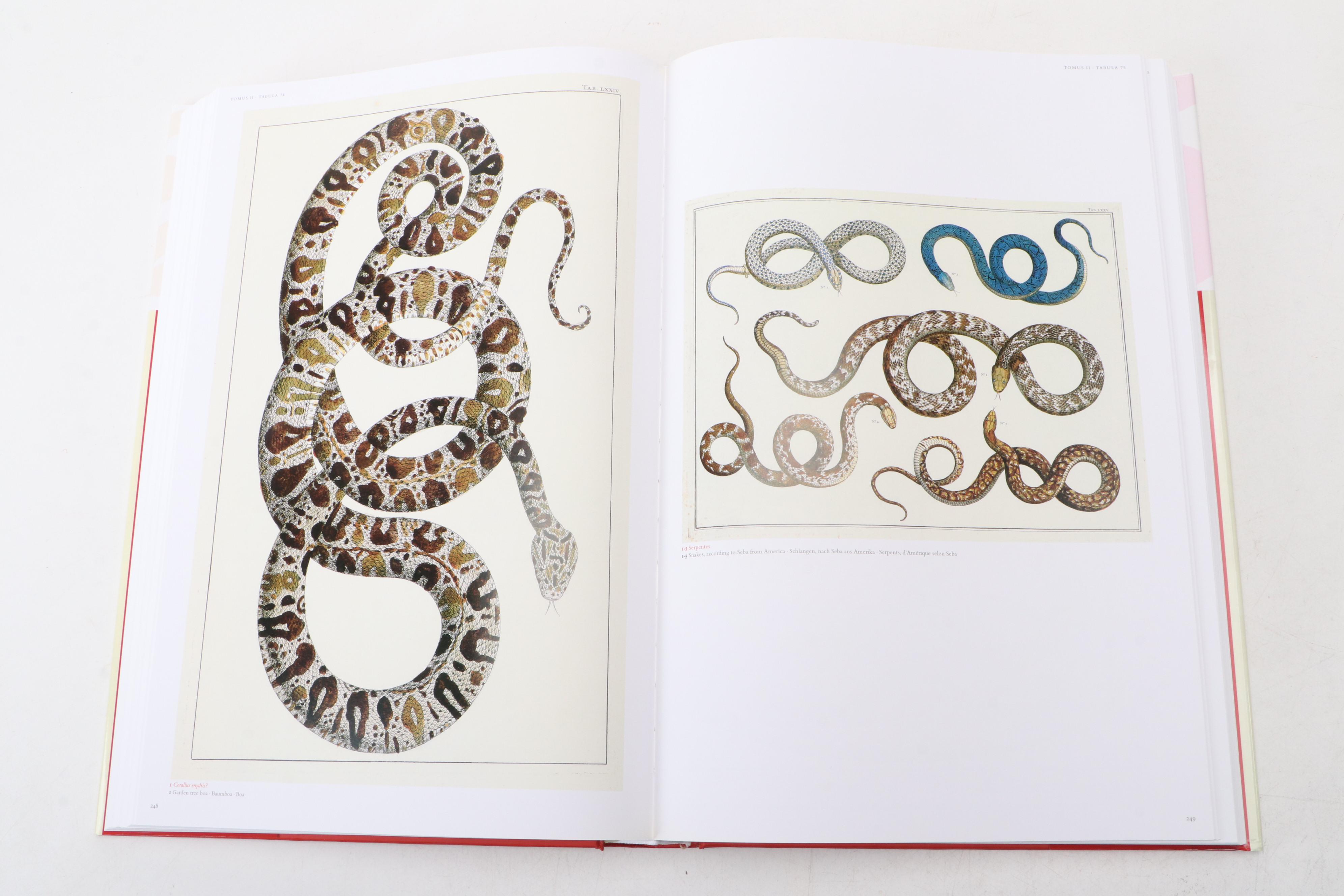 "Cabinet of Natural Curiosities: The Complete Plates" by Albertus Seba, 2005