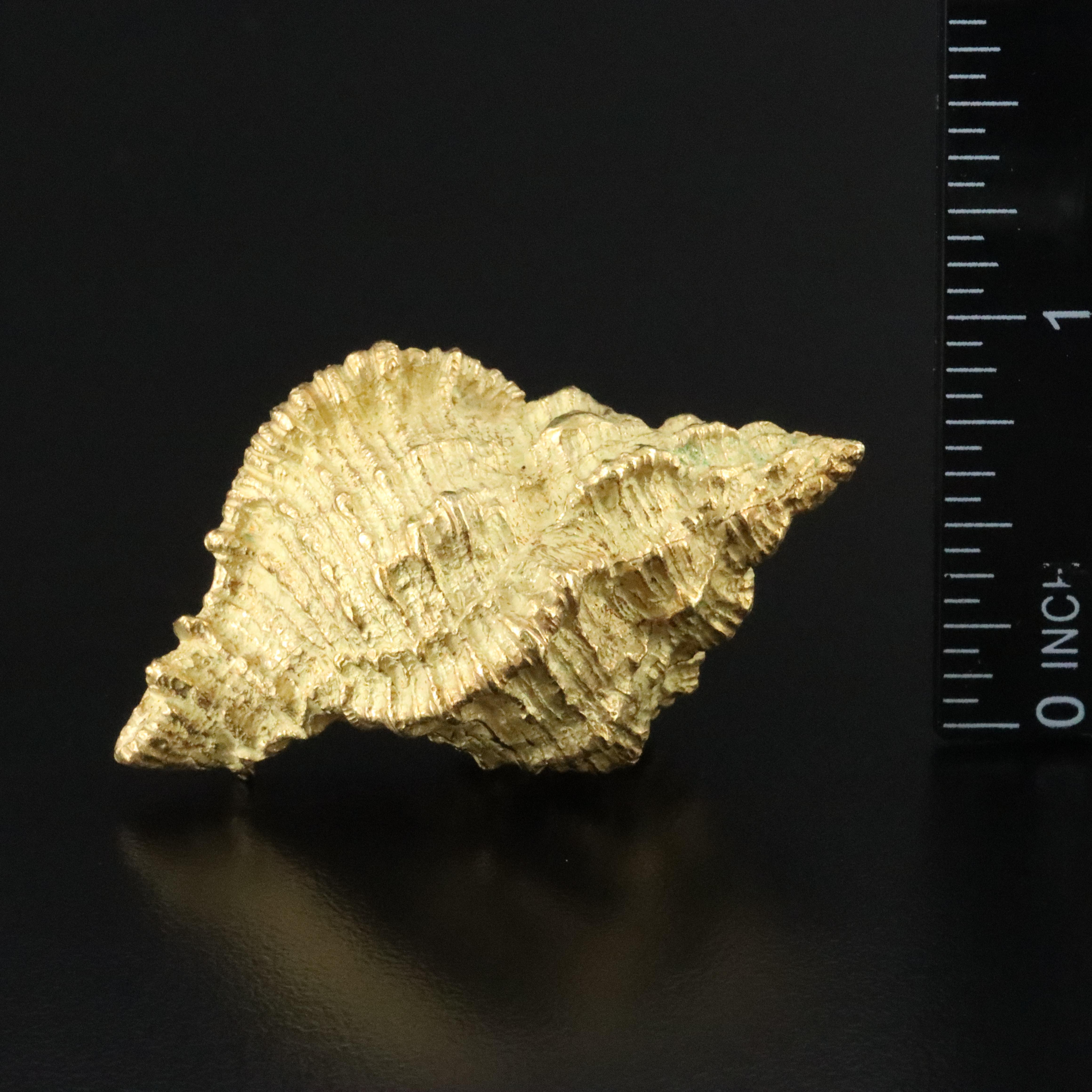 Tiffany & Co. 1960s 18K Conch Shell Brooch