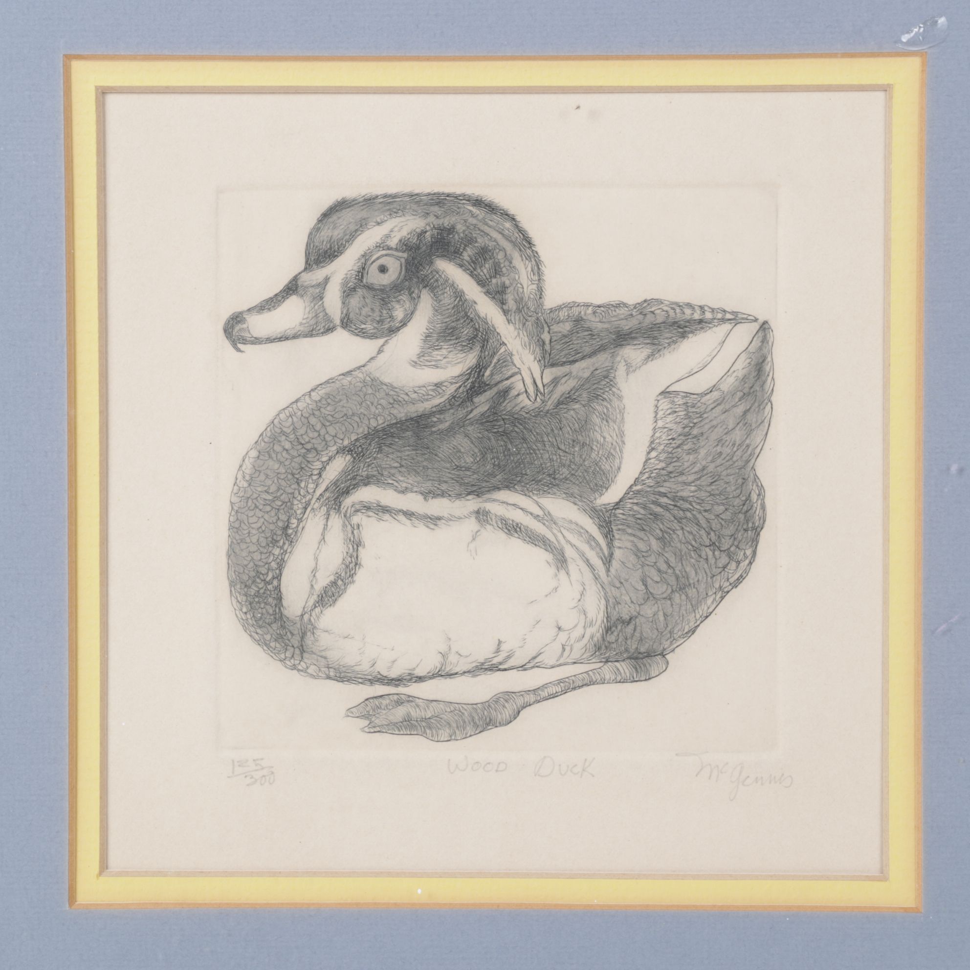 Christine McGennis "Wood Duck" Etching, Late 20th Century