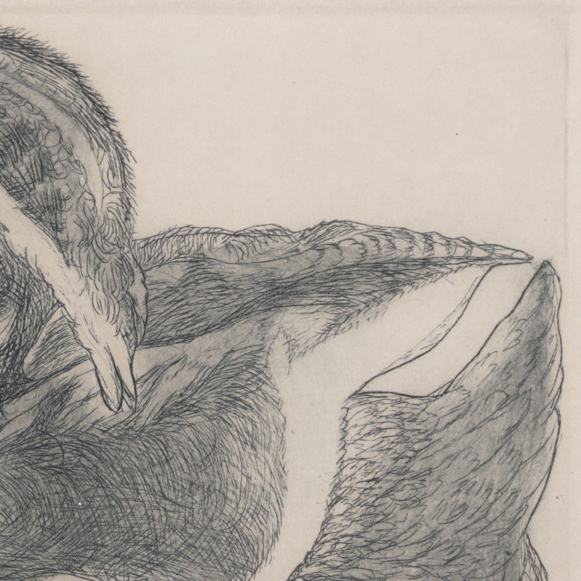 Christine McGennis "Wood Duck" Etching, Late 20th Century