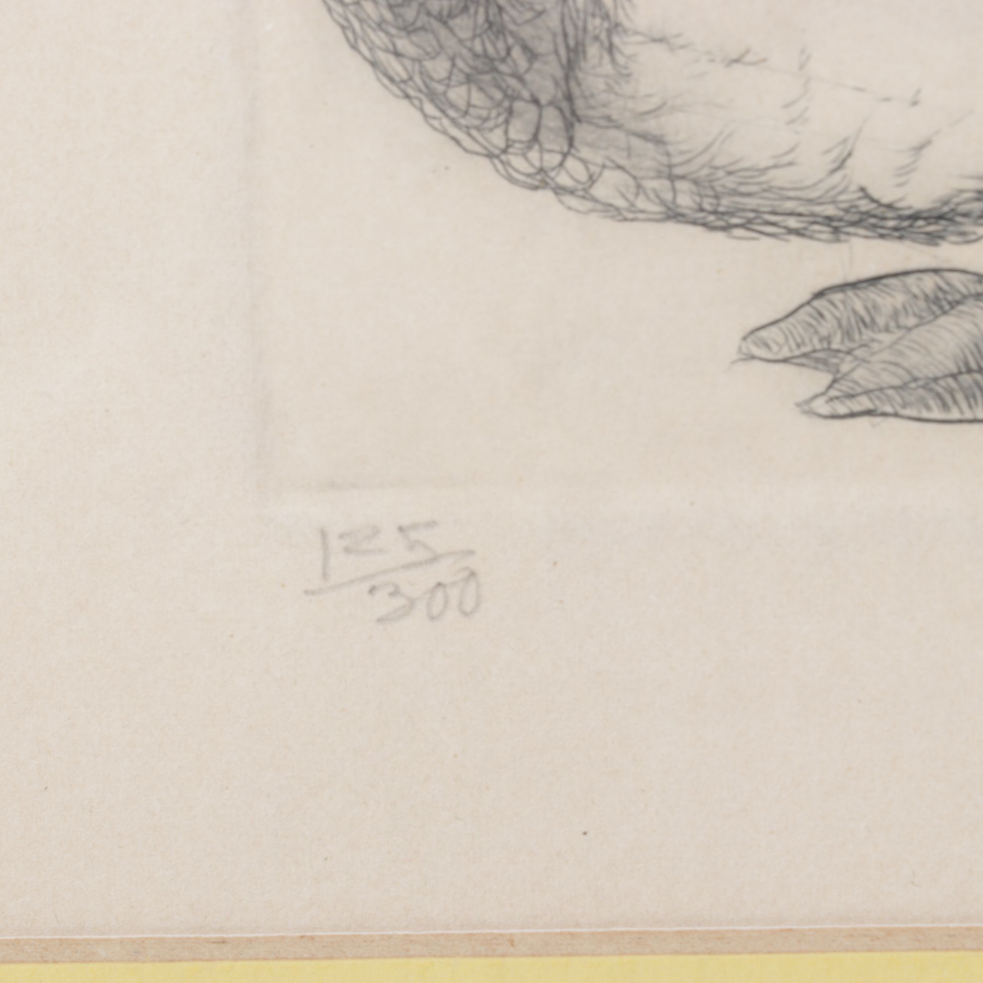 Christine McGennis "Wood Duck" Etching, Late 20th Century