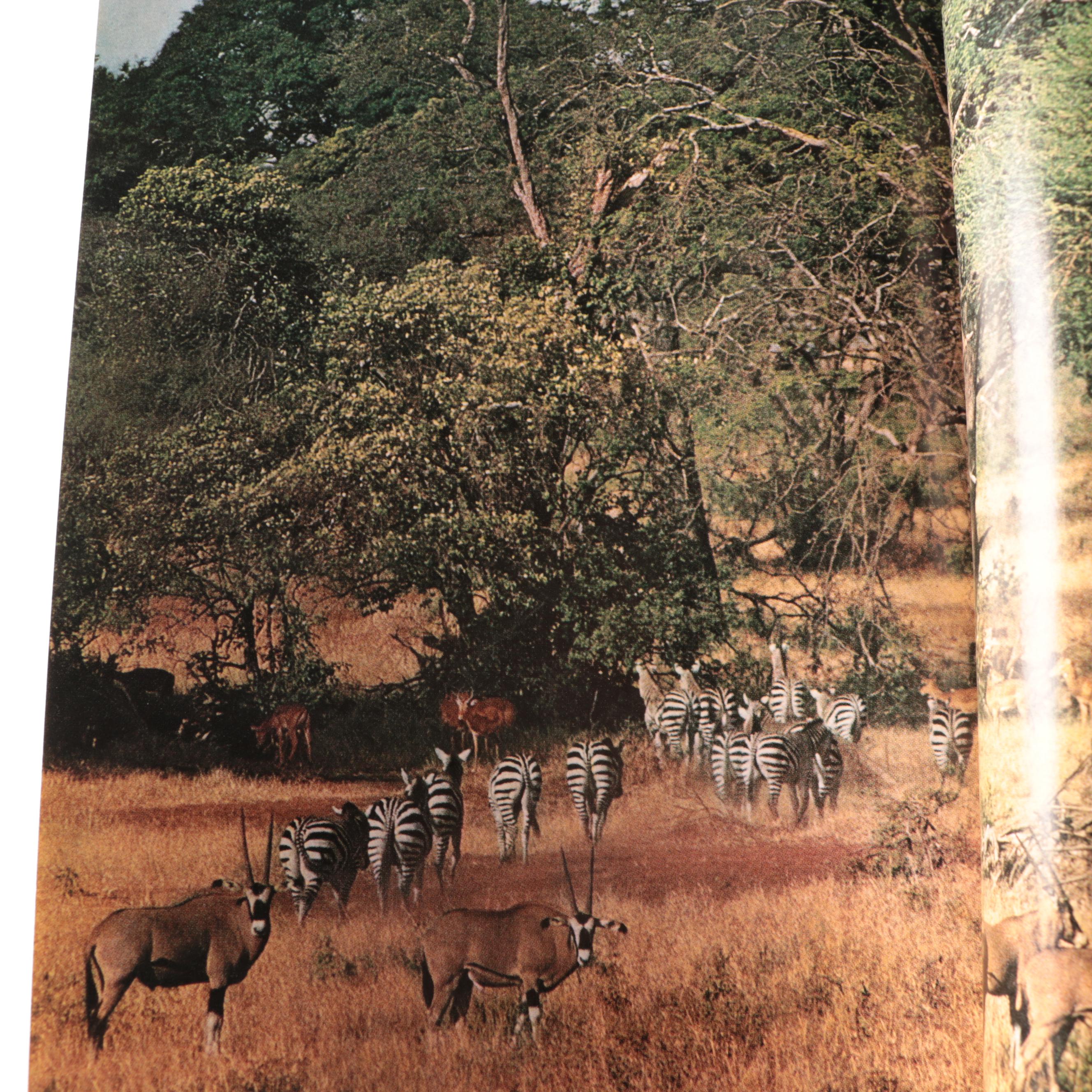 National Geographic Volumes, 1960s