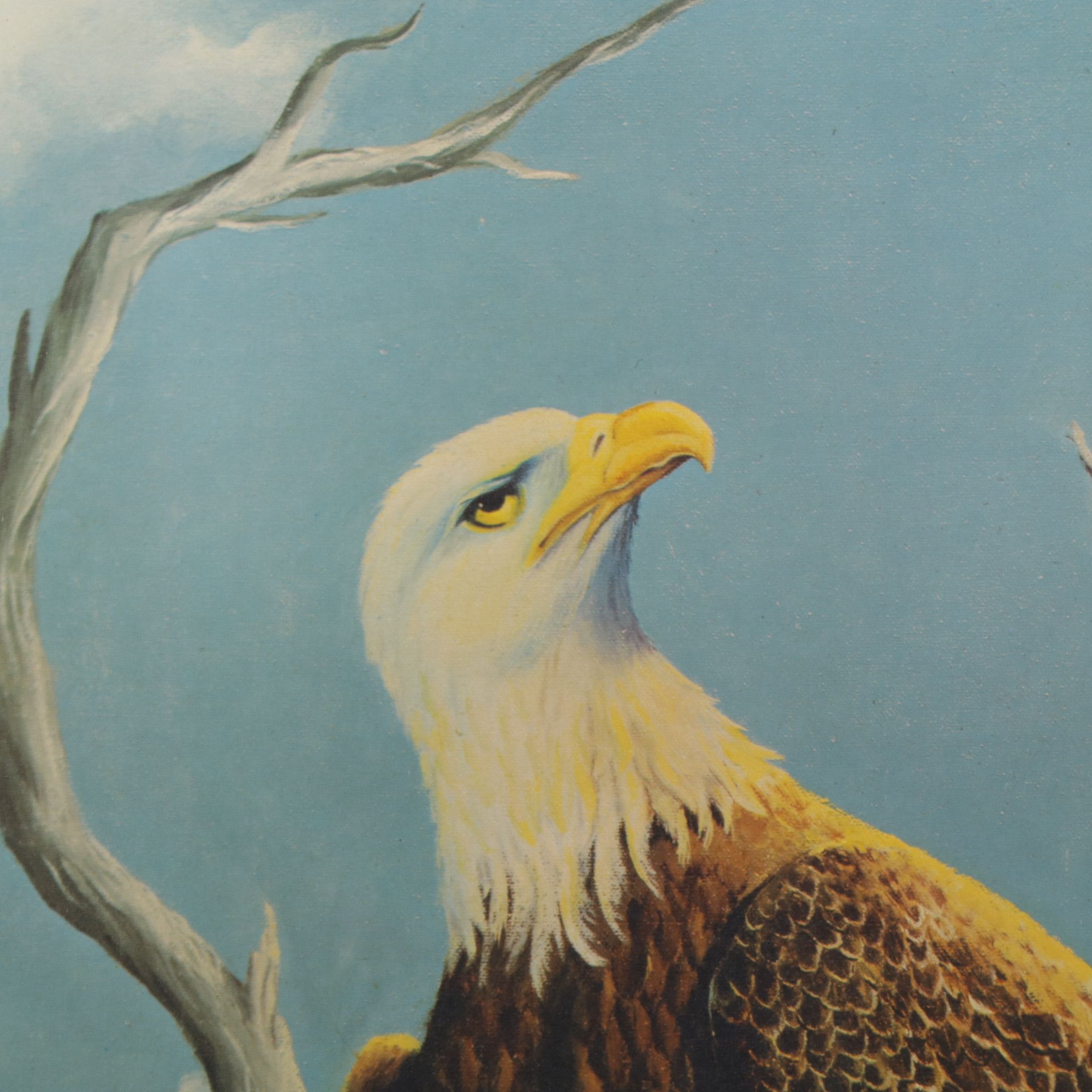 Bill Wesling "American Bald Eagle" Offset Lithograph, 1970