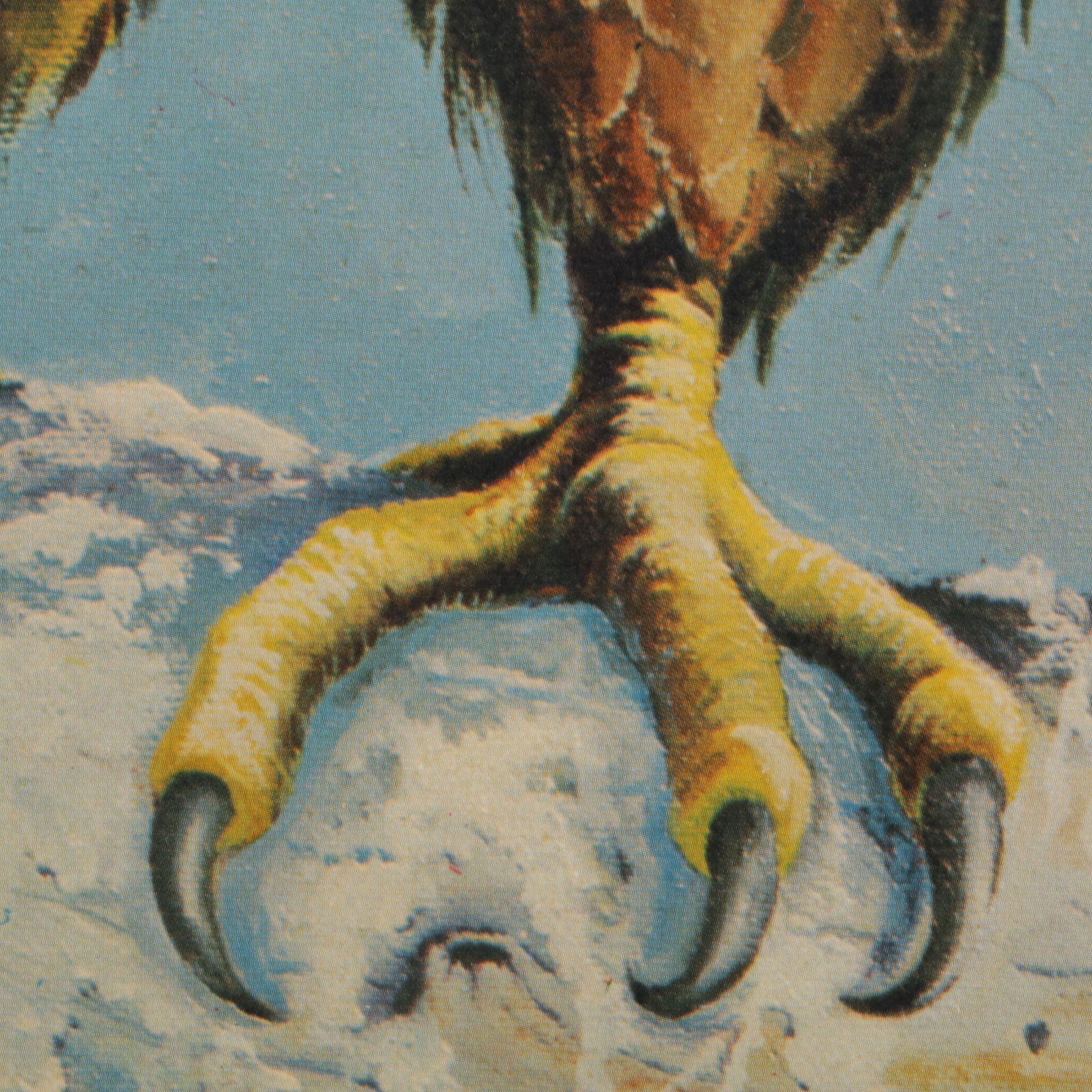 Bill Wesling "American Bald Eagle" Offset Lithograph, 1970