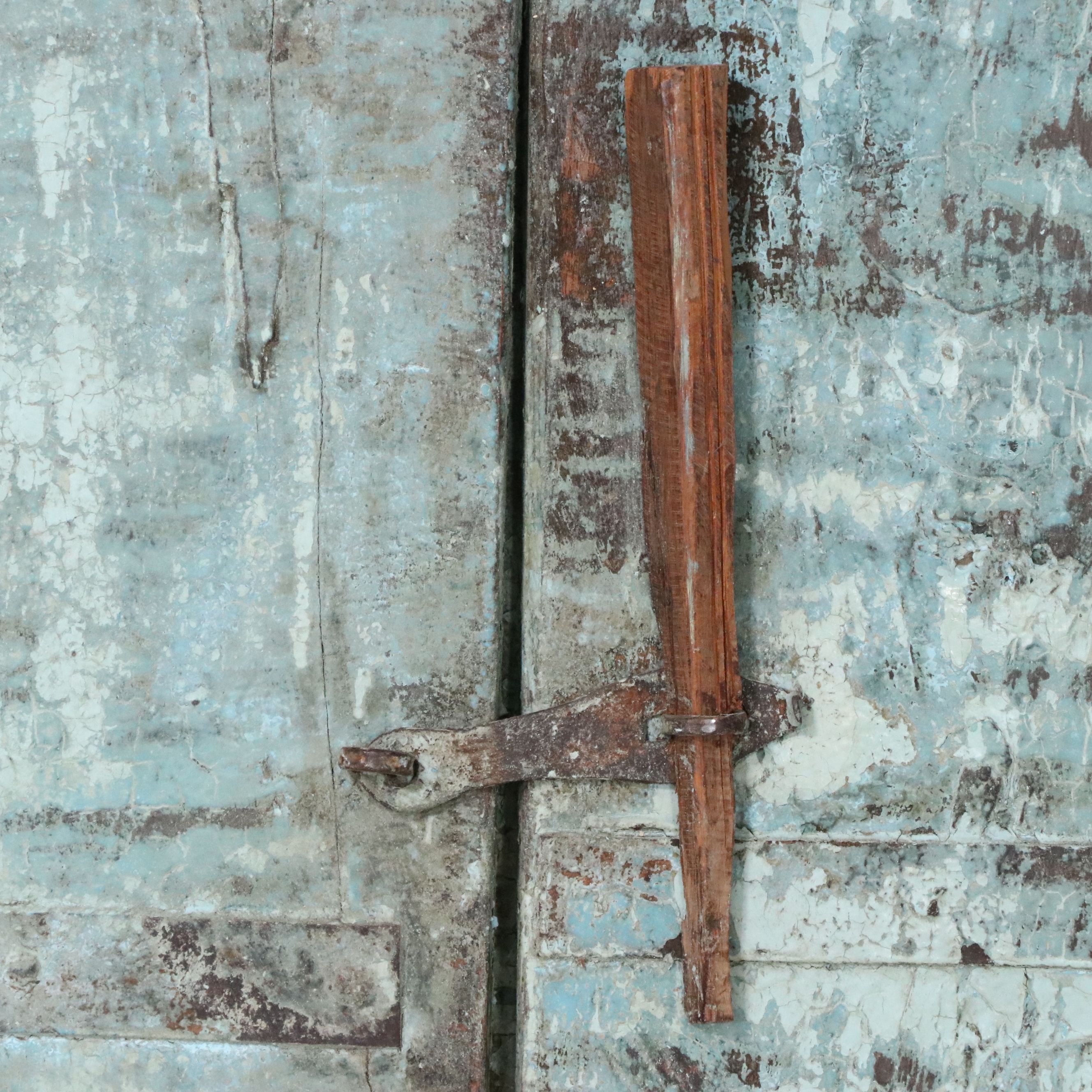 Antique Indian Painted Wood Door