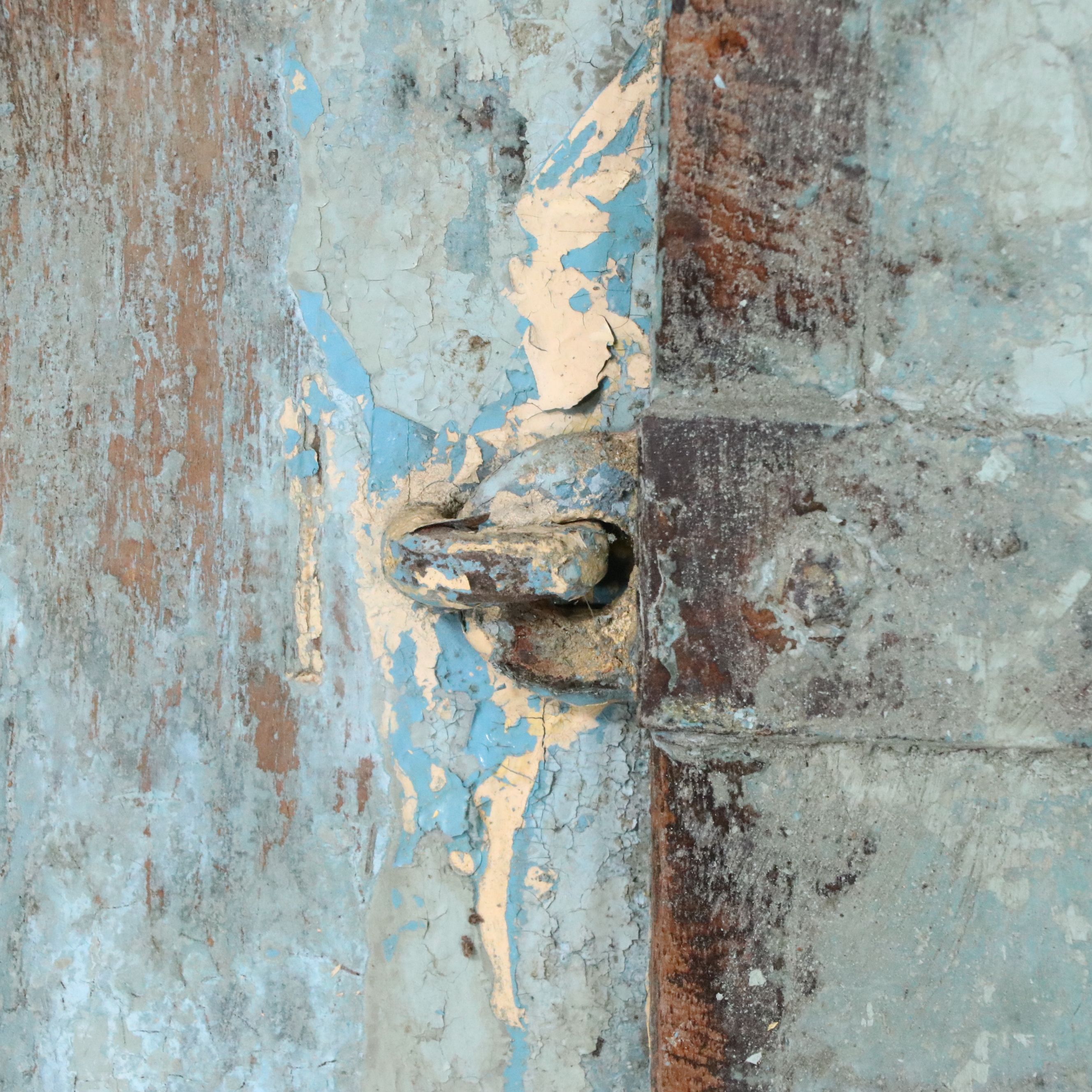 Antique Indian Painted Wood Door